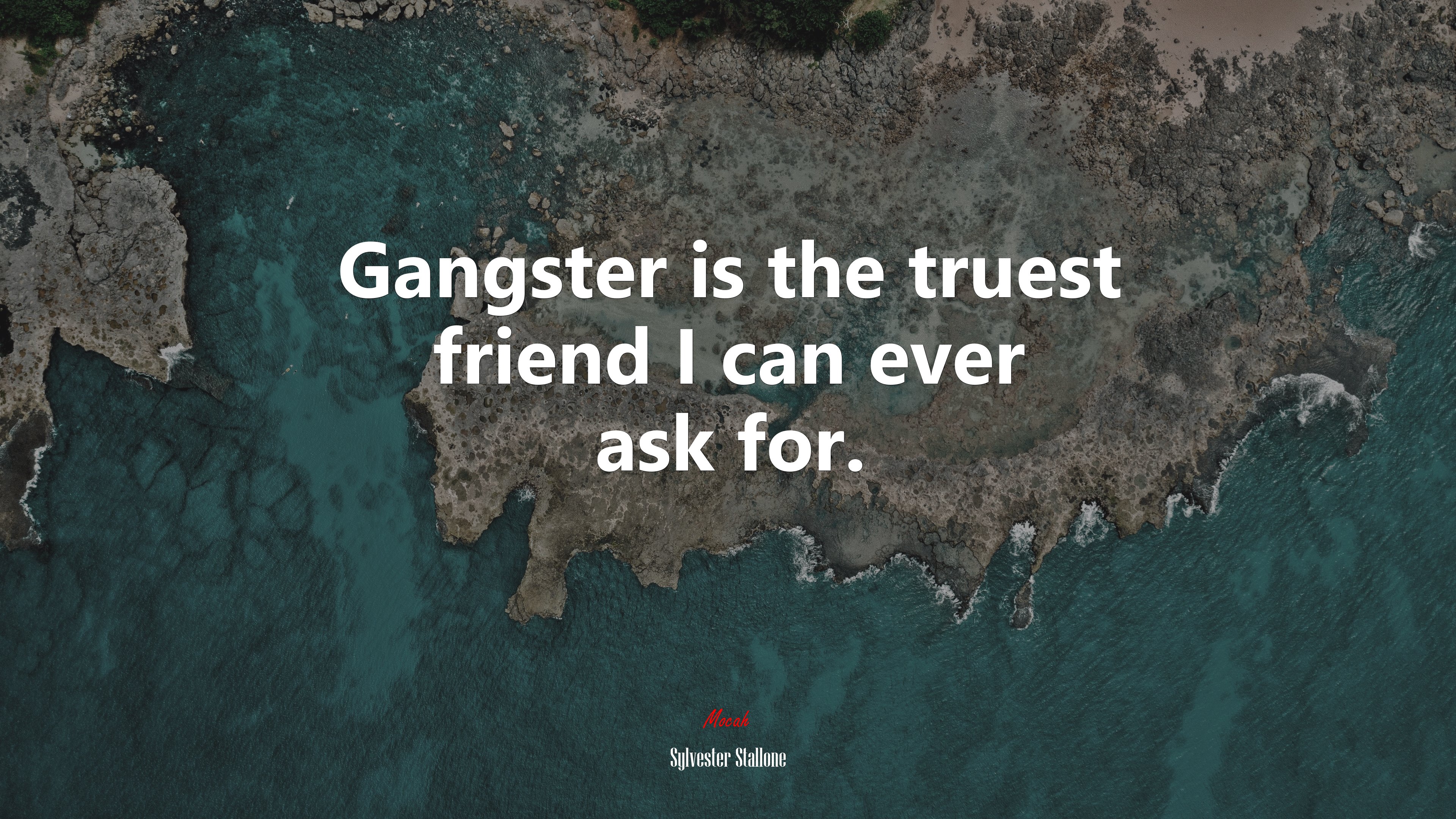 Gangster is the truest friend I can ever ask for. | Sylvester Stallone quote HD Wallpaper