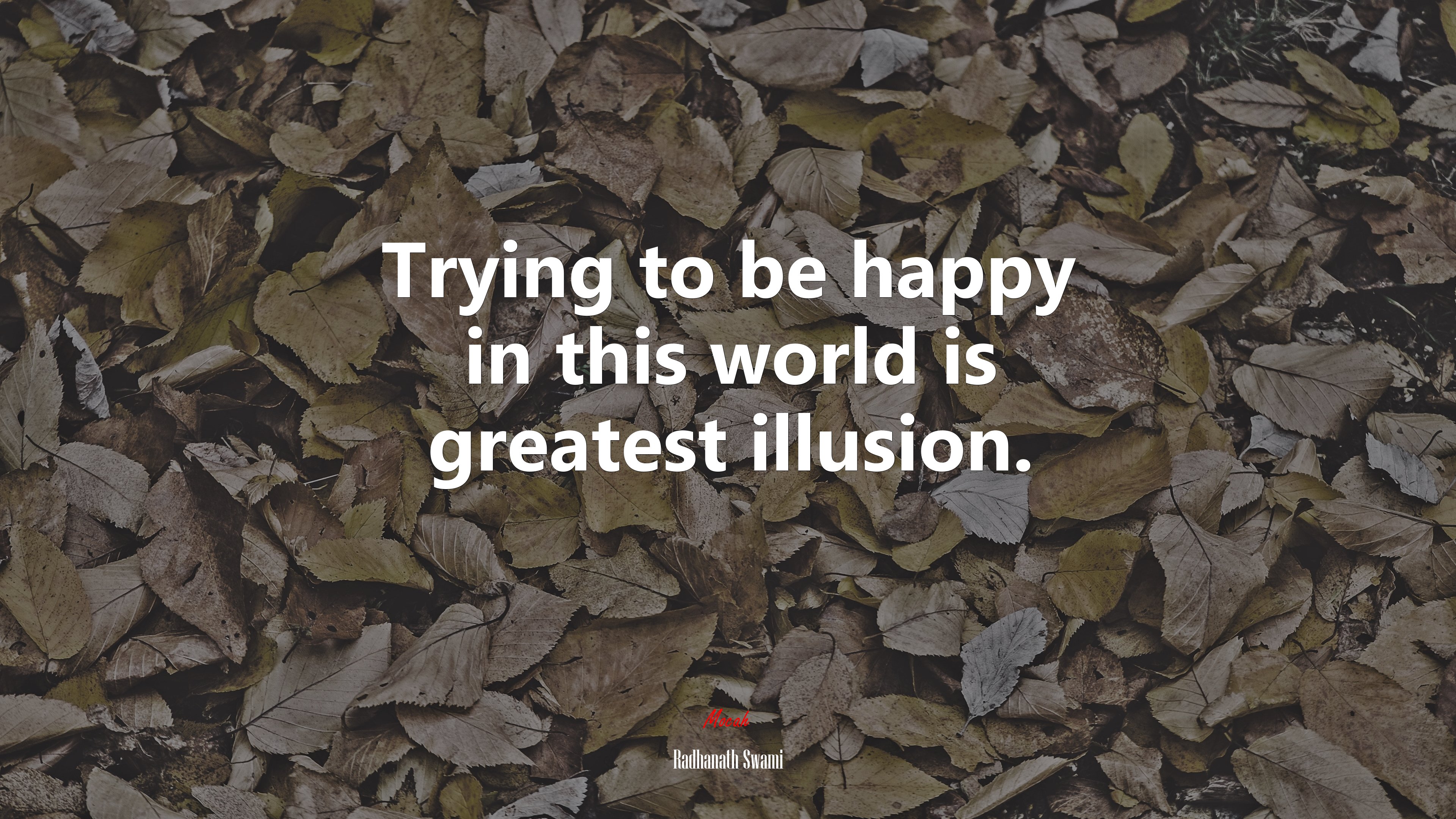 Trying to be happy in this world is greatest illusion. | Radhanath Swami quote HD Wallpaper