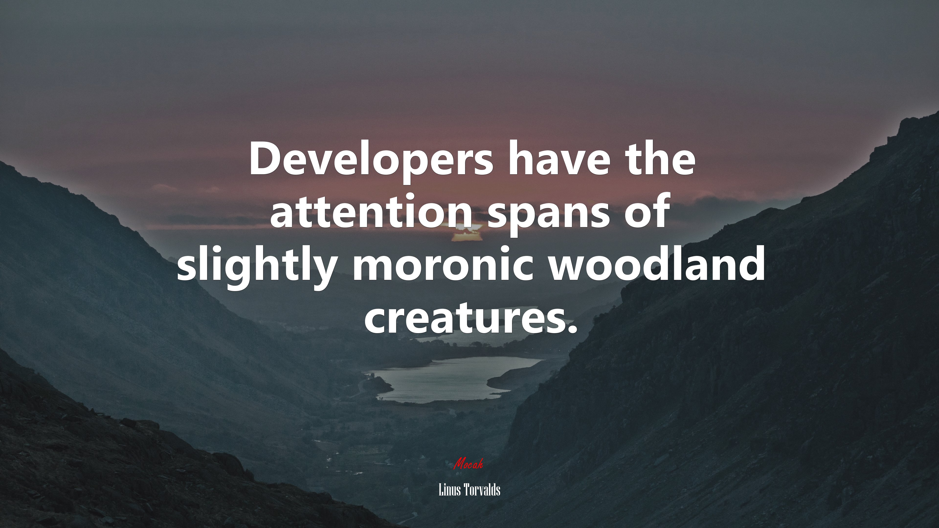 Developers have the attention spans of slightly moronic woodland creatures. | Linus Torvalds quote HD Wallpaper