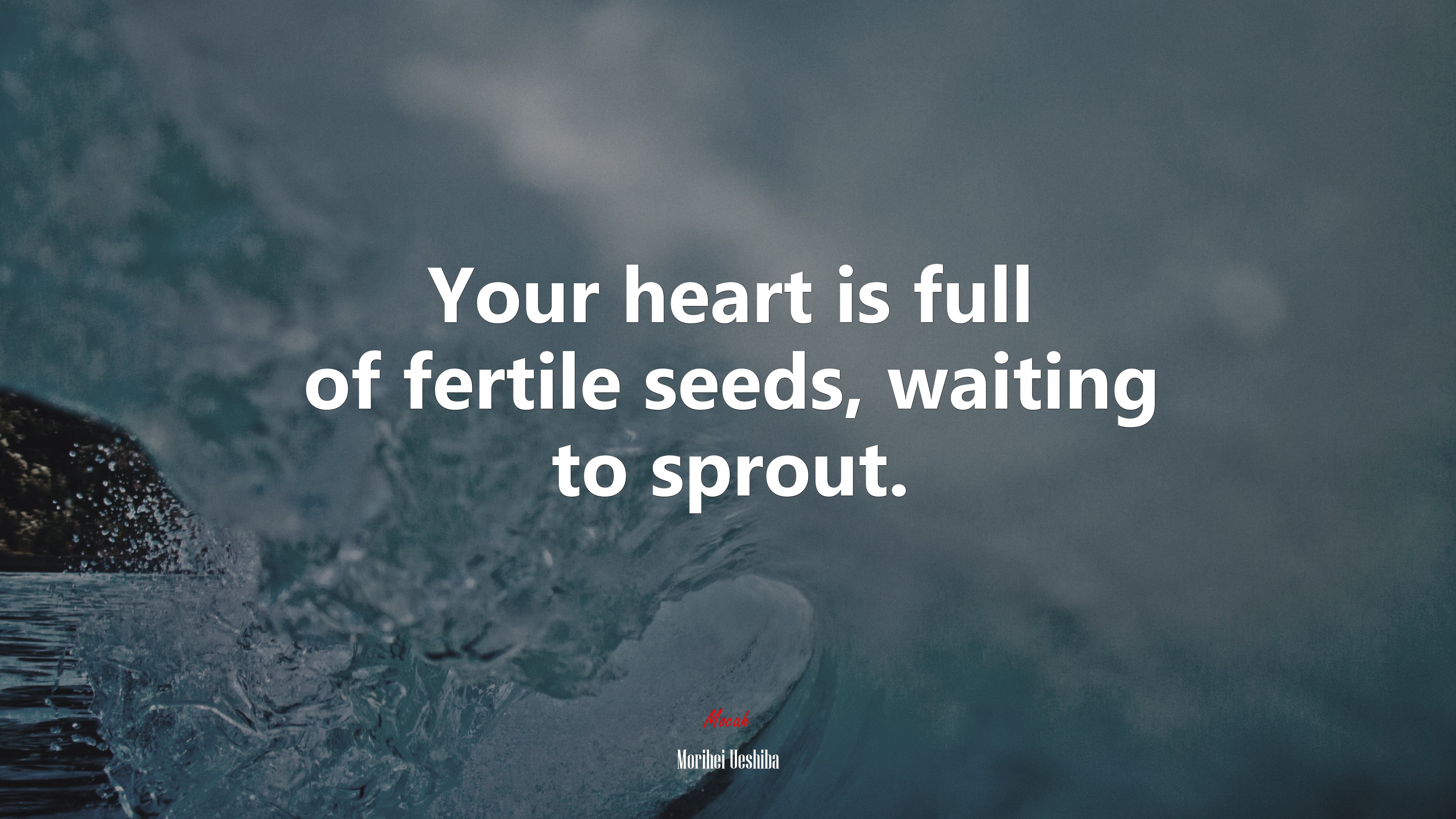 Your heart is full of fertile seeds, waiting to sprout. | Morihei Ueshiba quote HD Wallpaper