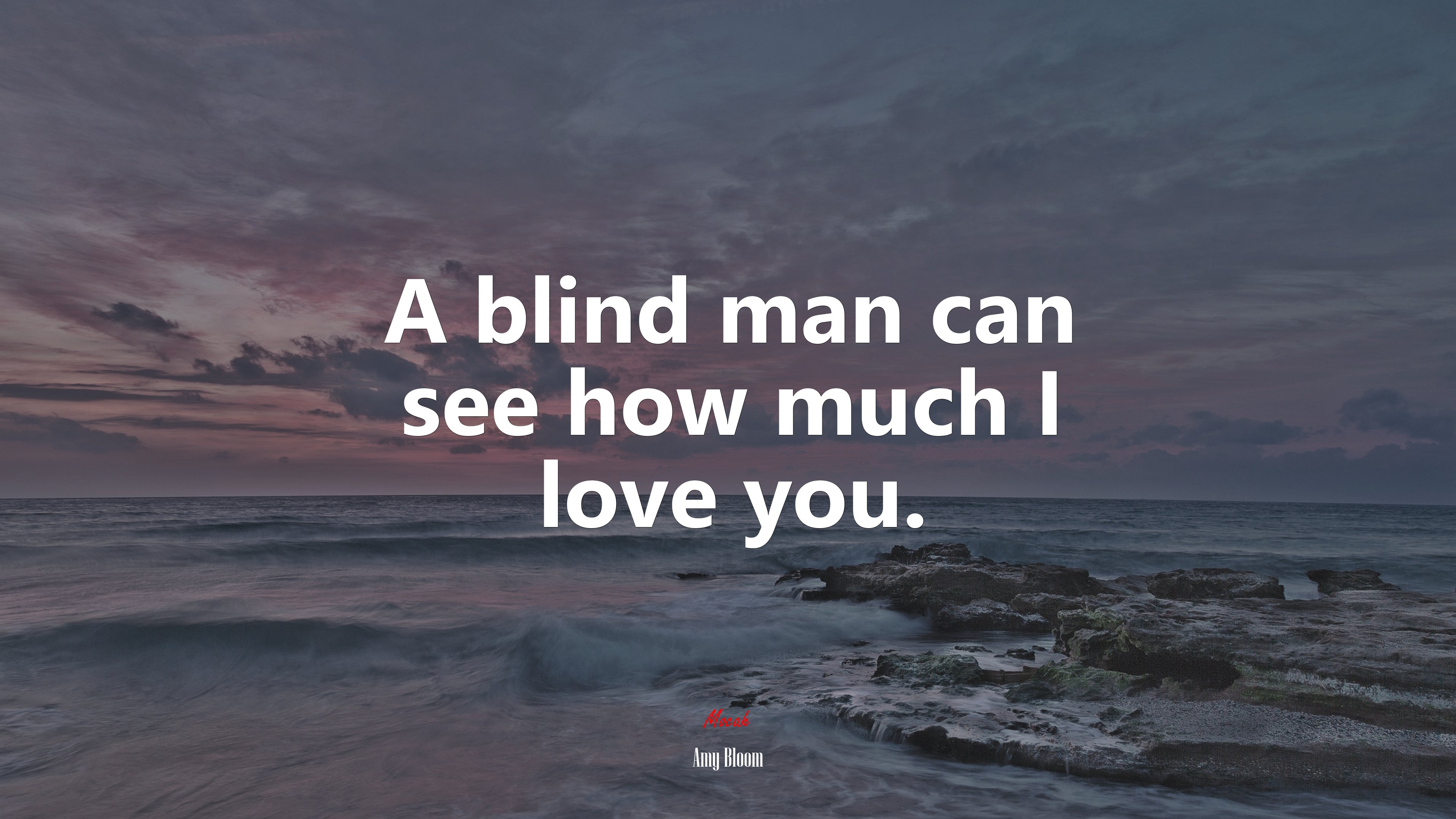 A blind man can see how much I love you. | Amy Bloom quote HD Wallpaper