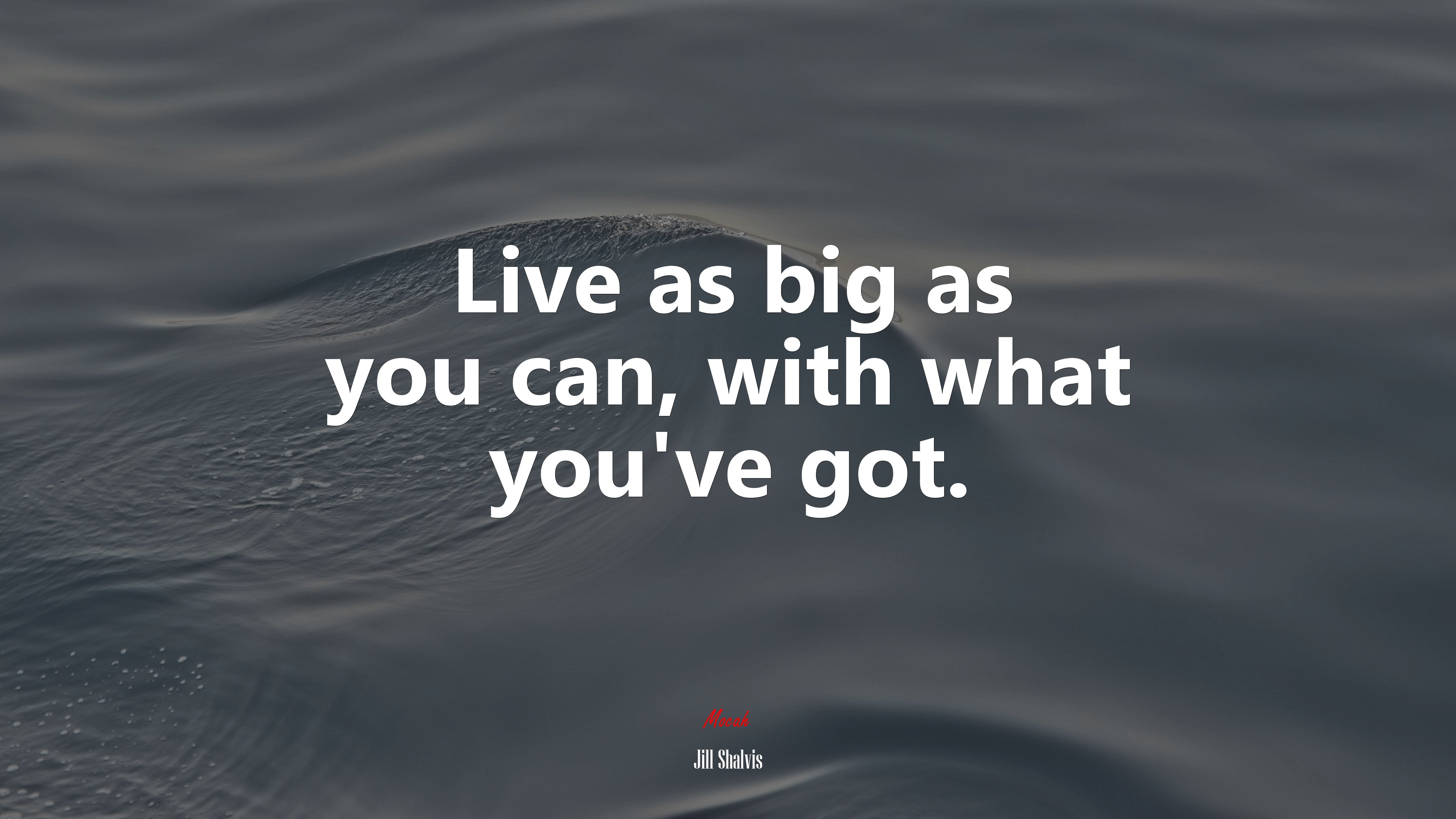 Live as big as you can, with what you’ve got. | Jill Shalvis quote HD Wallpaper