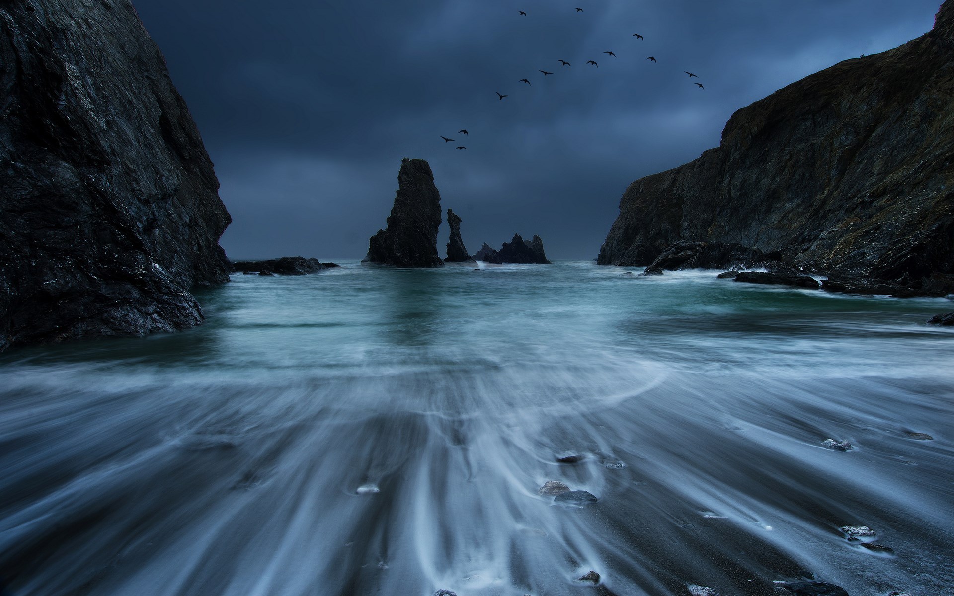 Birds flying over rocky coast and ocean waves HD Wallpaper
