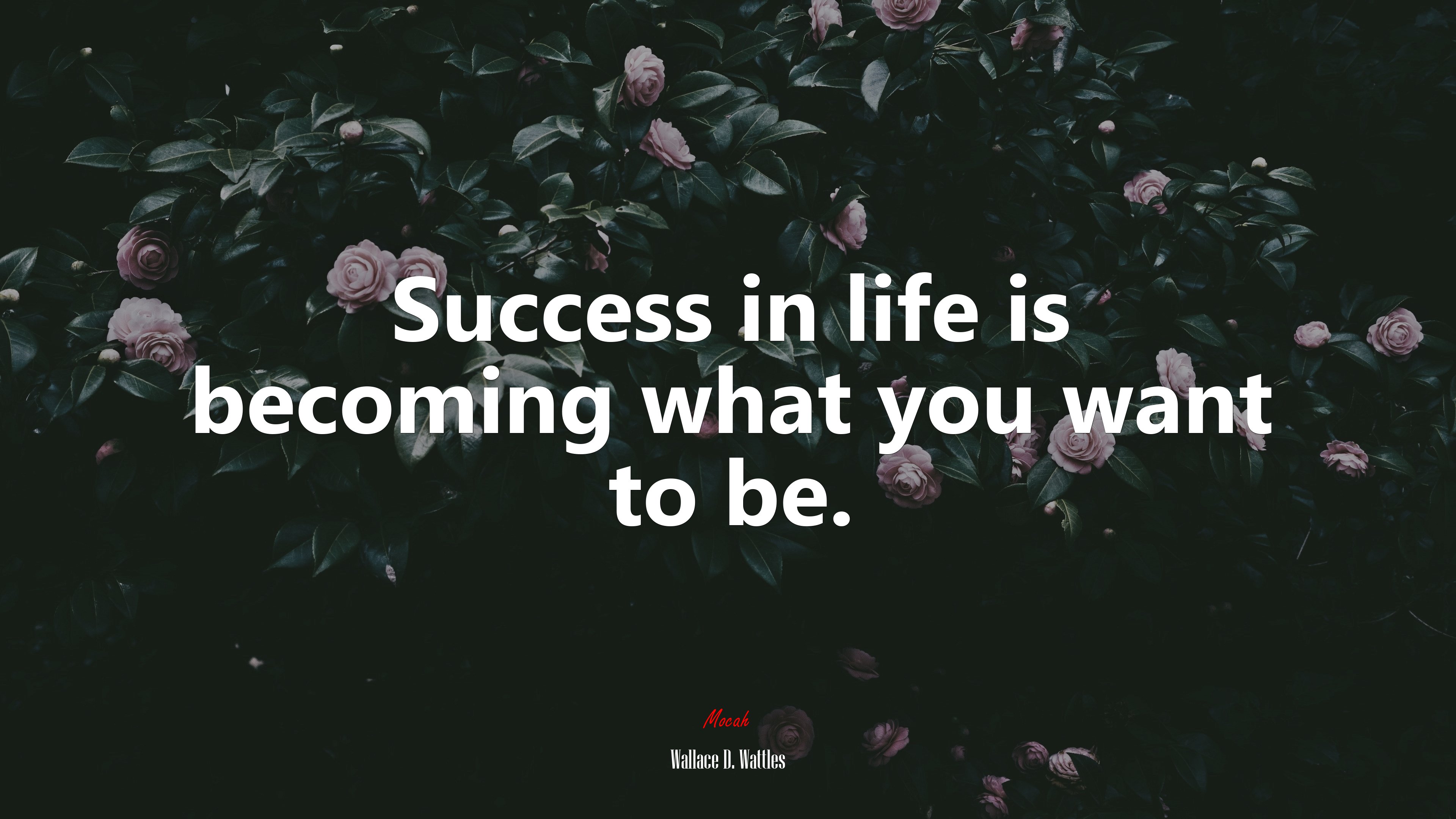 Success in life is becoming what you want to be. | Wallace D. Wattles quote HD Wallpaper