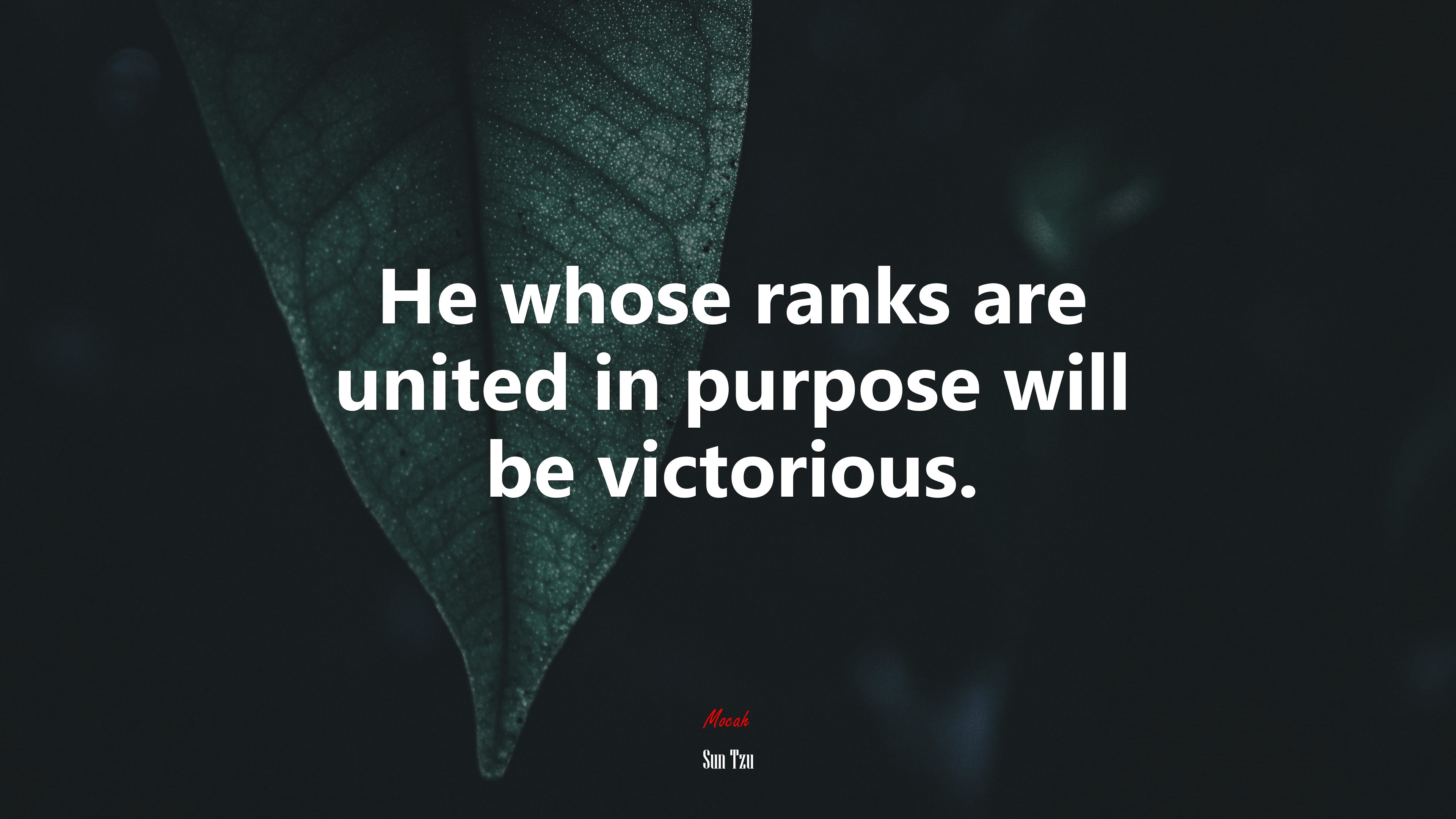 He whose ranks are united in purpose will be victorious. | Sun Tzu quote HD Wallpaper