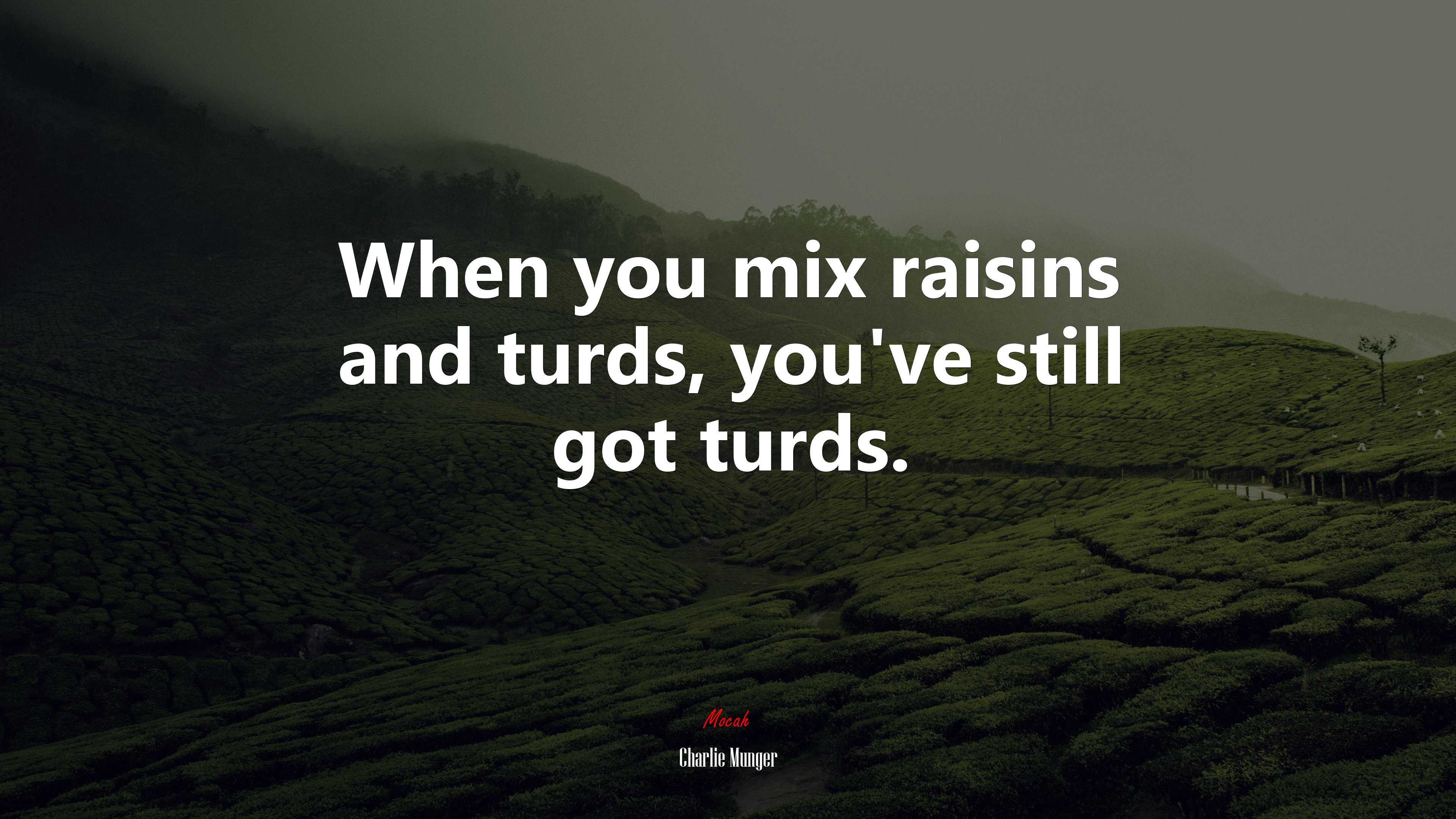 When you mix raisins and turds, you’ve still got turds. | Charlie Munger quote HD Wallpaper