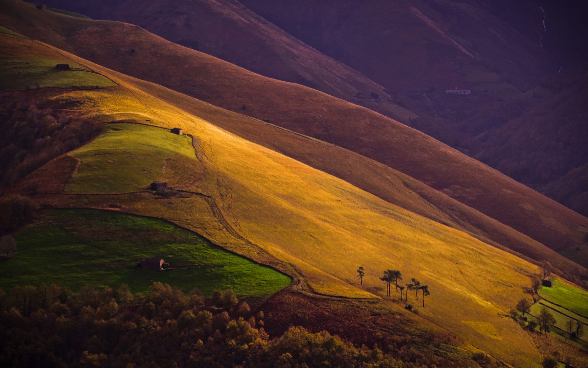 Rolling hills with scattered buildings and trees HD Wallpaper