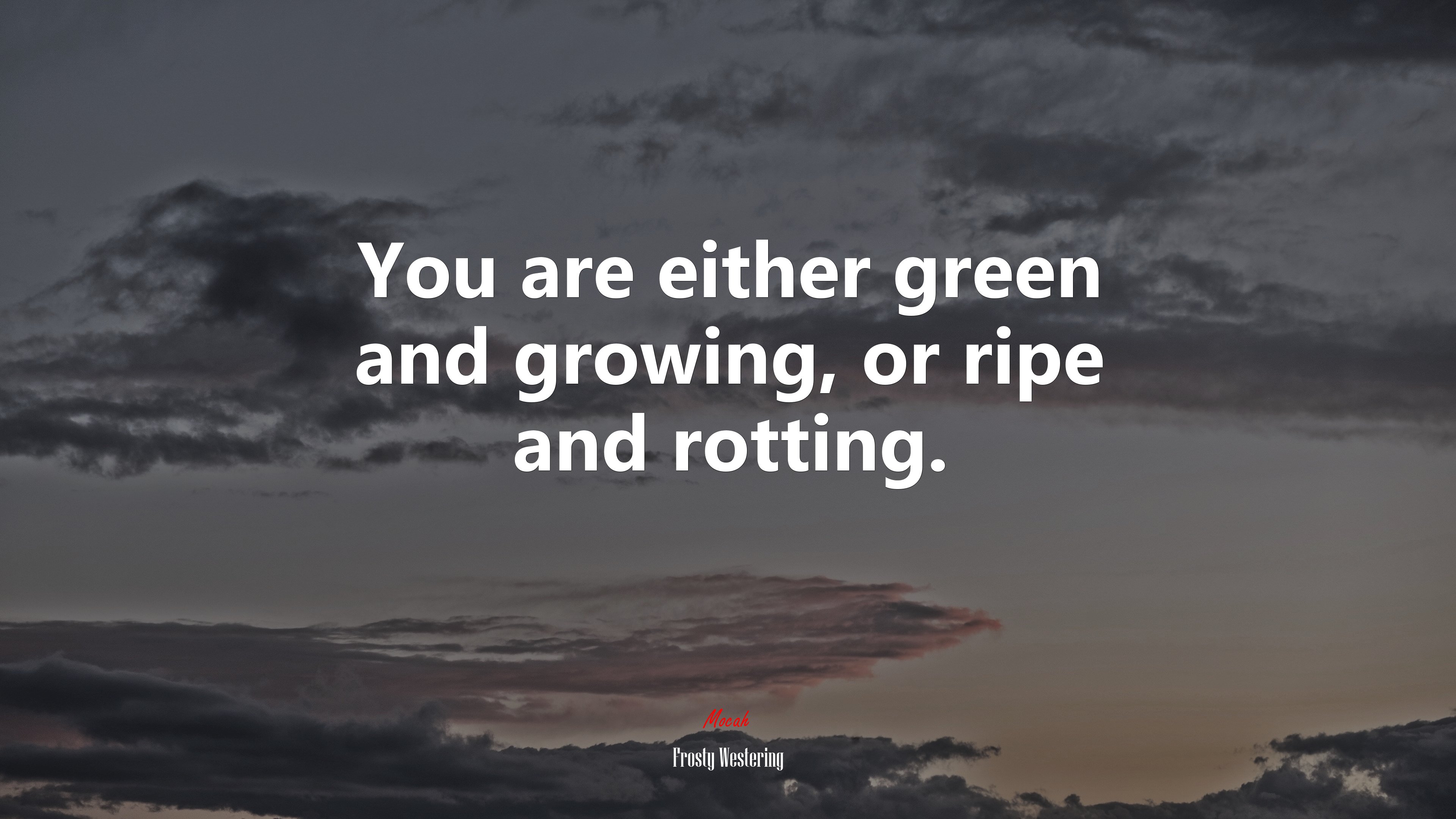 You are either green and growing, or ripe and rotting. | Frosty Westering quote HD Wallpaper
