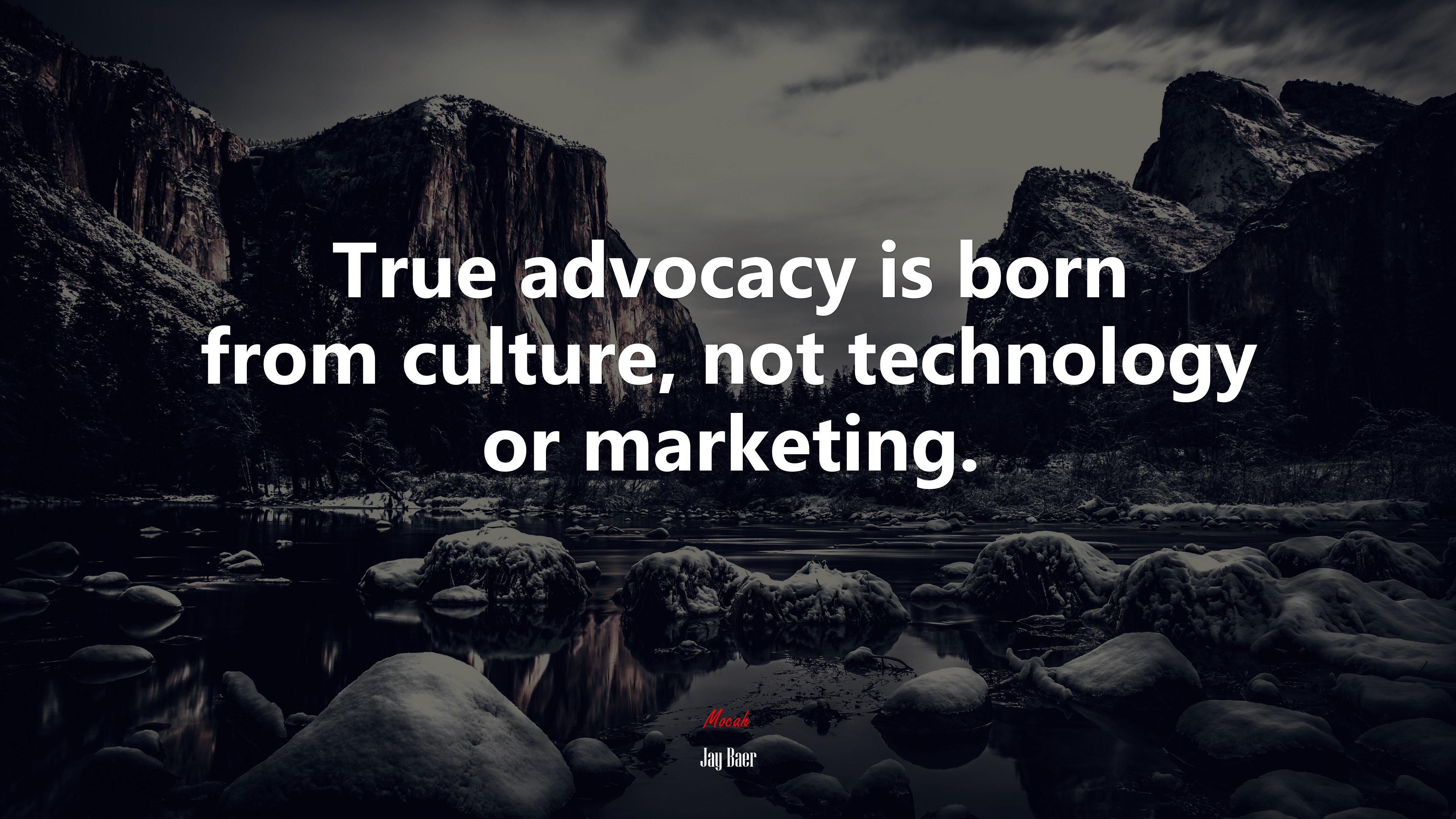 True advocacy is born from culture, not technology or marketing. | Jay Baer quote HD Wallpaper