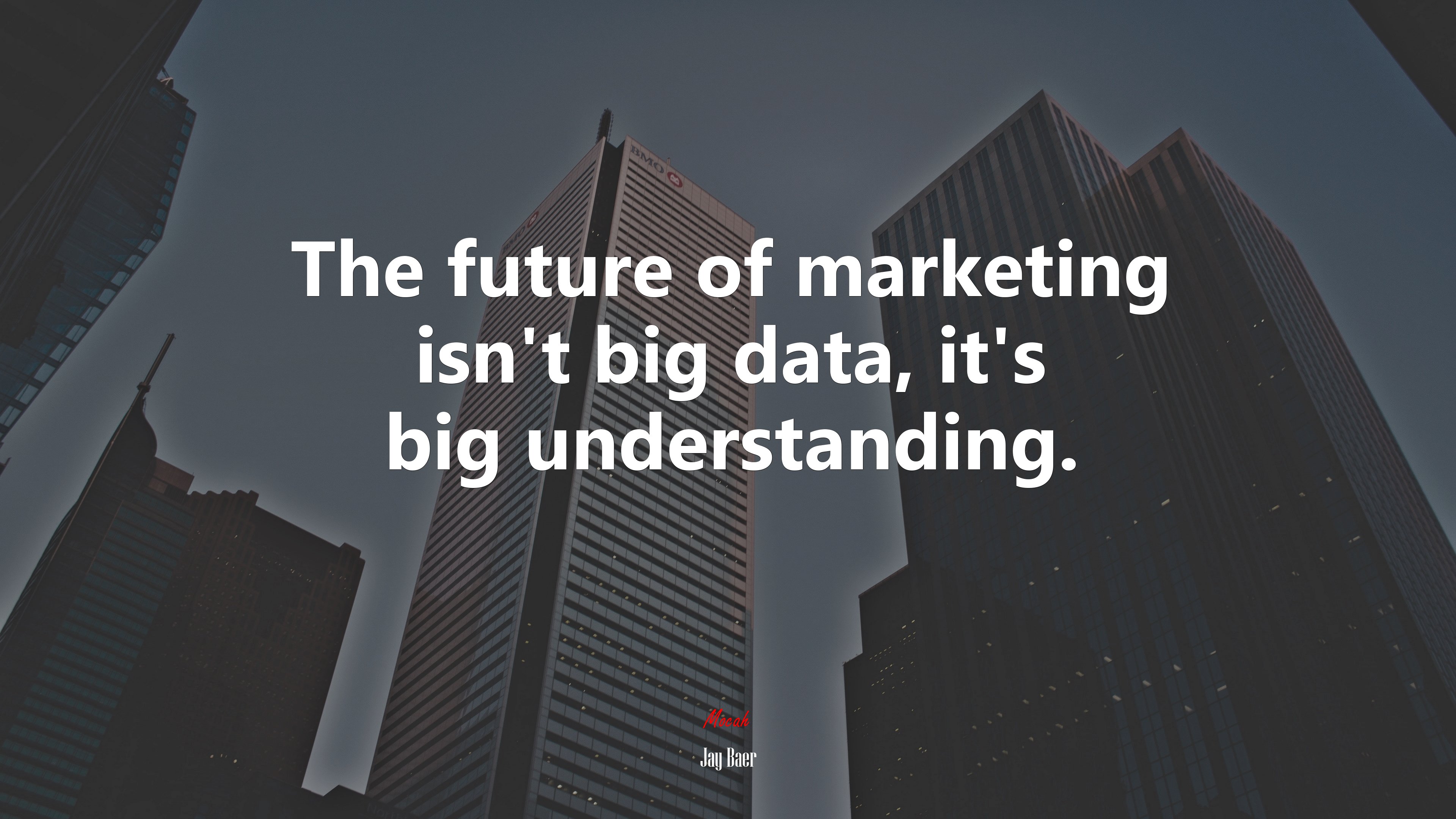 The future of marketing isn’t big data, it’s big understanding. | Jay Baer quote HD Wallpaper