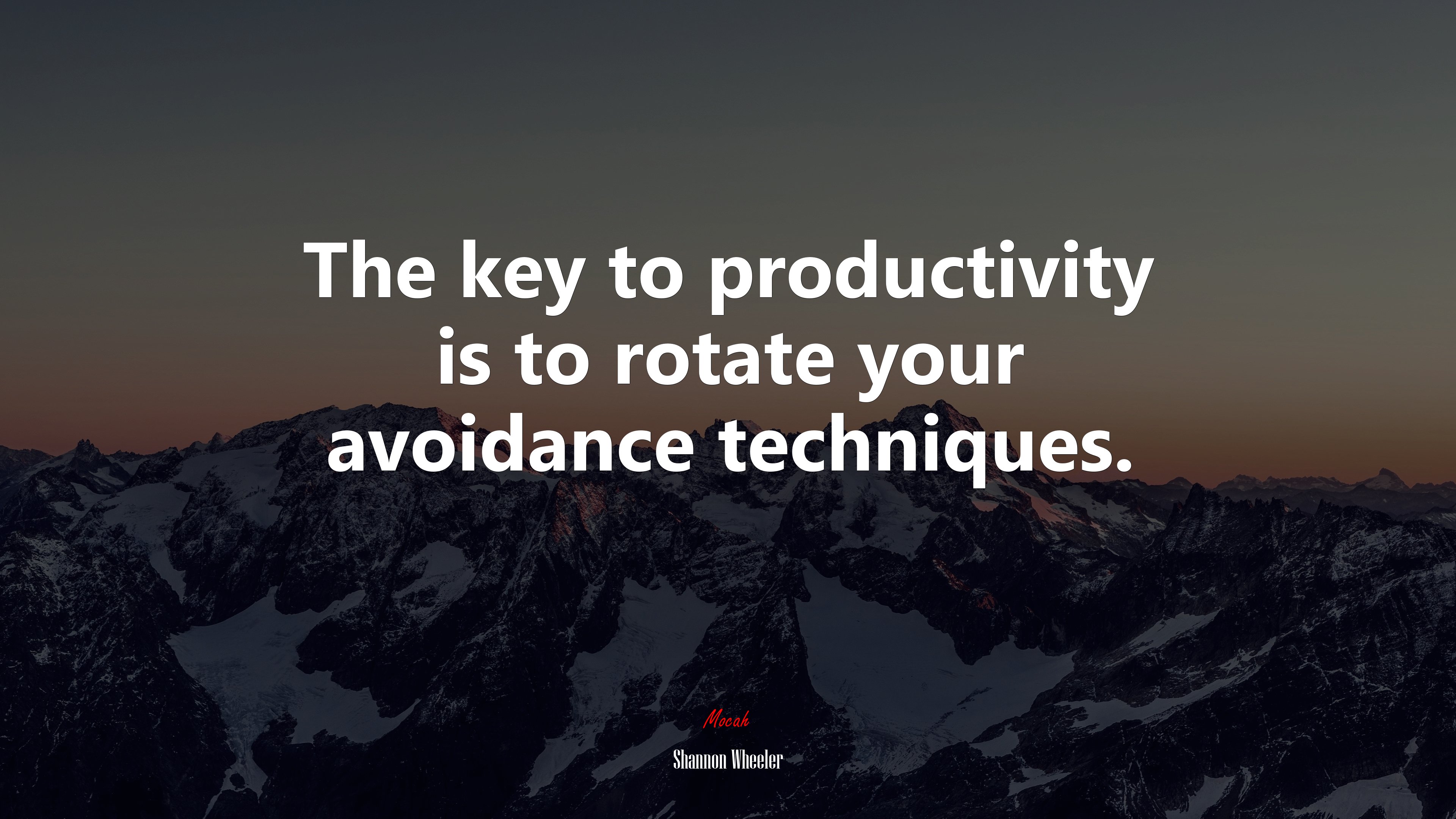 The key to productivity is to rotate your avoidance techniques. | Shannon Wheeler quote HD Wallpaper