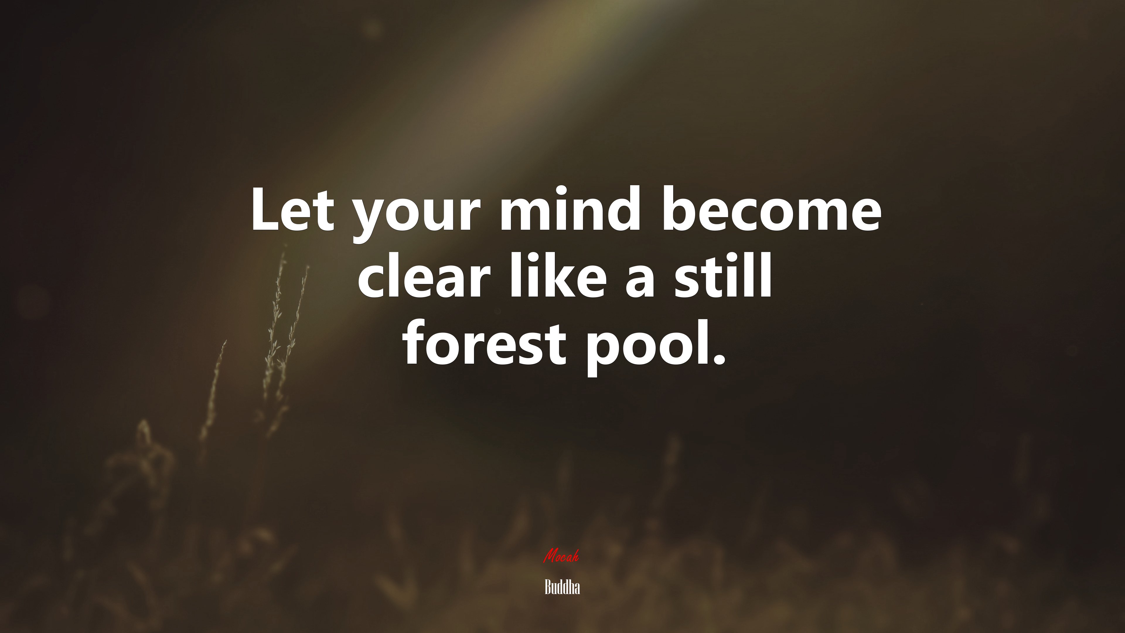 Let your mind become clear like a still forest pool. | Buddha quote HD Wallpaper