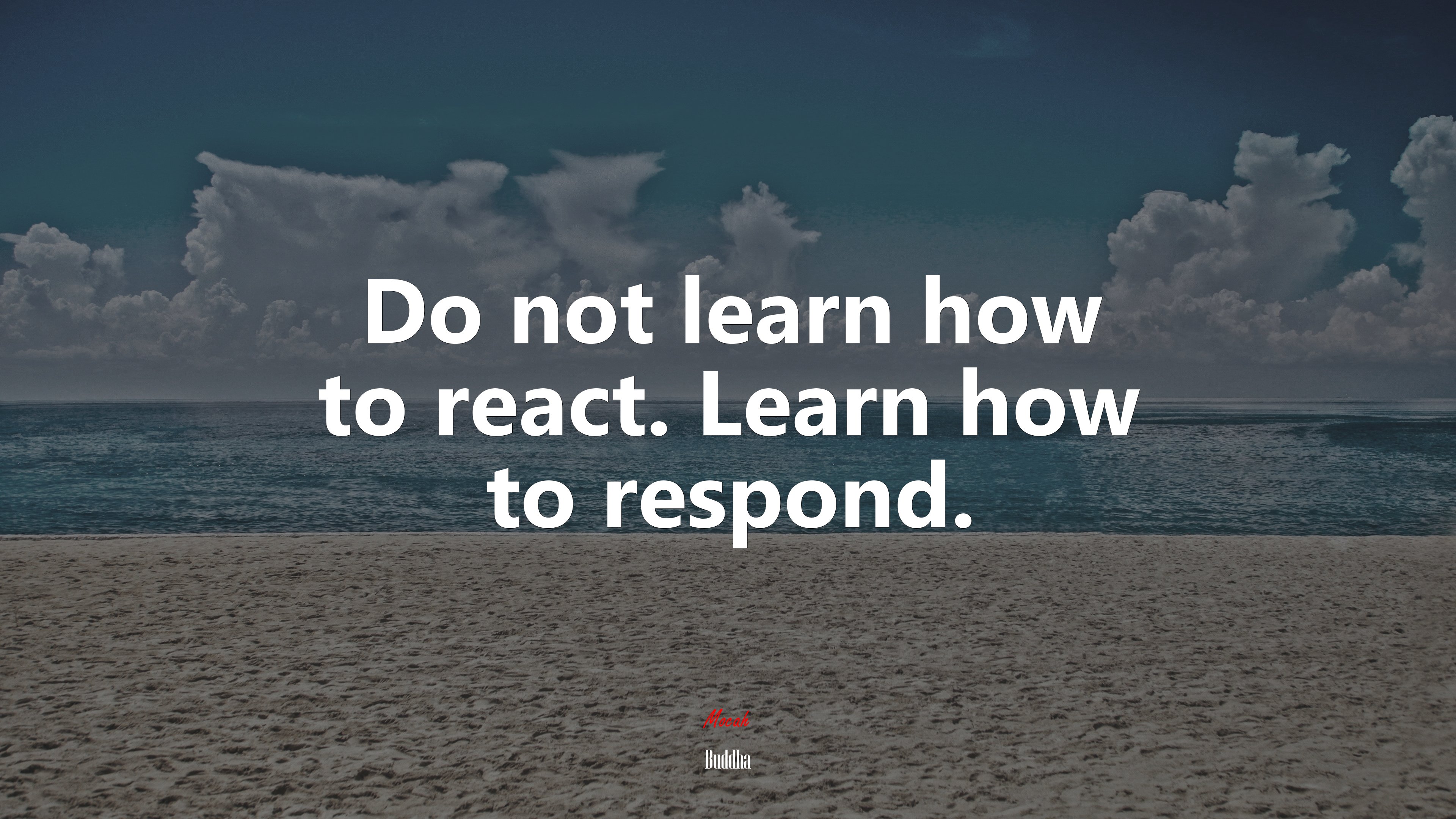 Do not learn how to react. Learn how to respond. | Buddha quote HD Wallpaper
