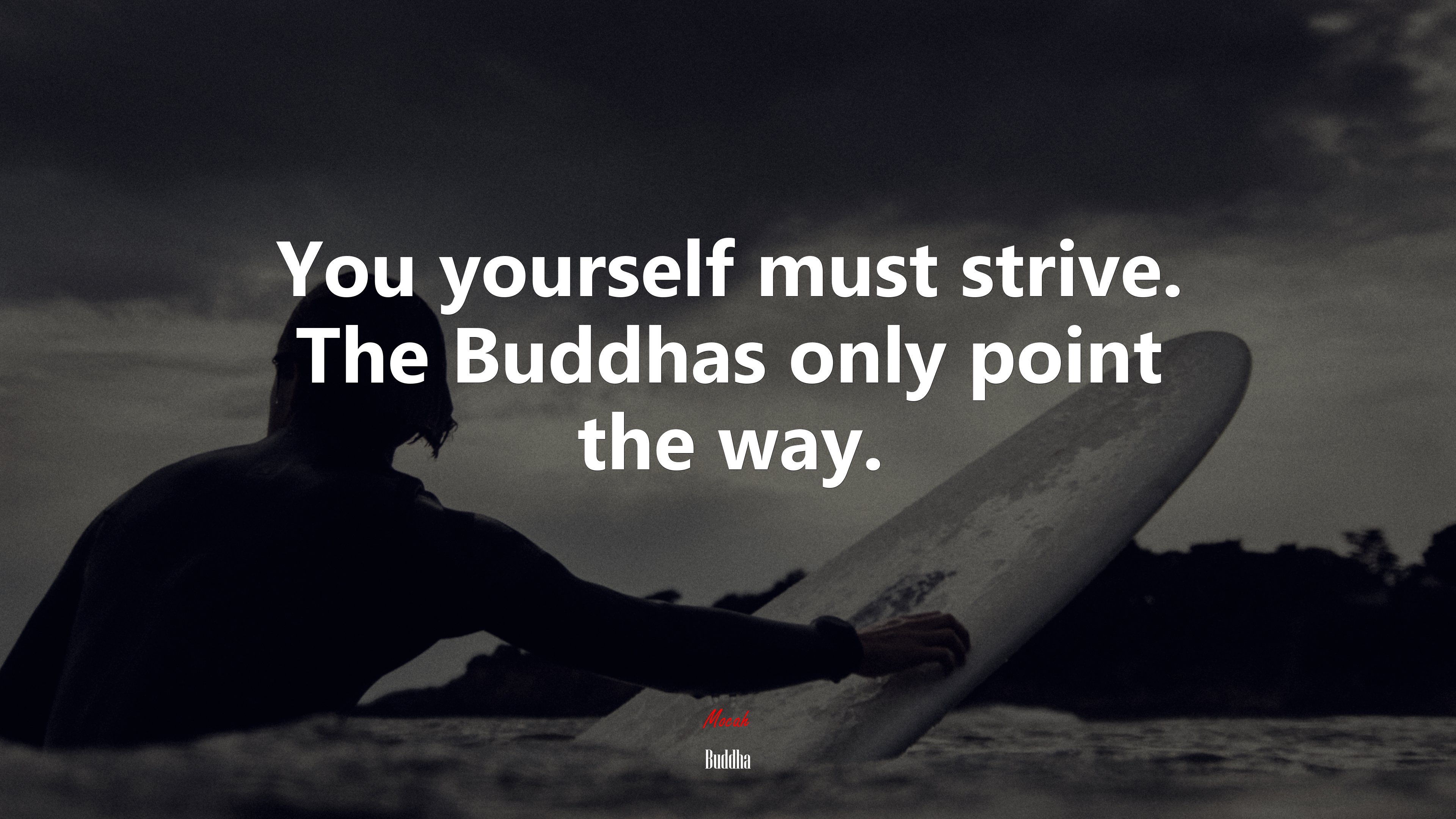 You yourself must strive. The Buddhas only point the way. | Buddha quote HD Wallpaper