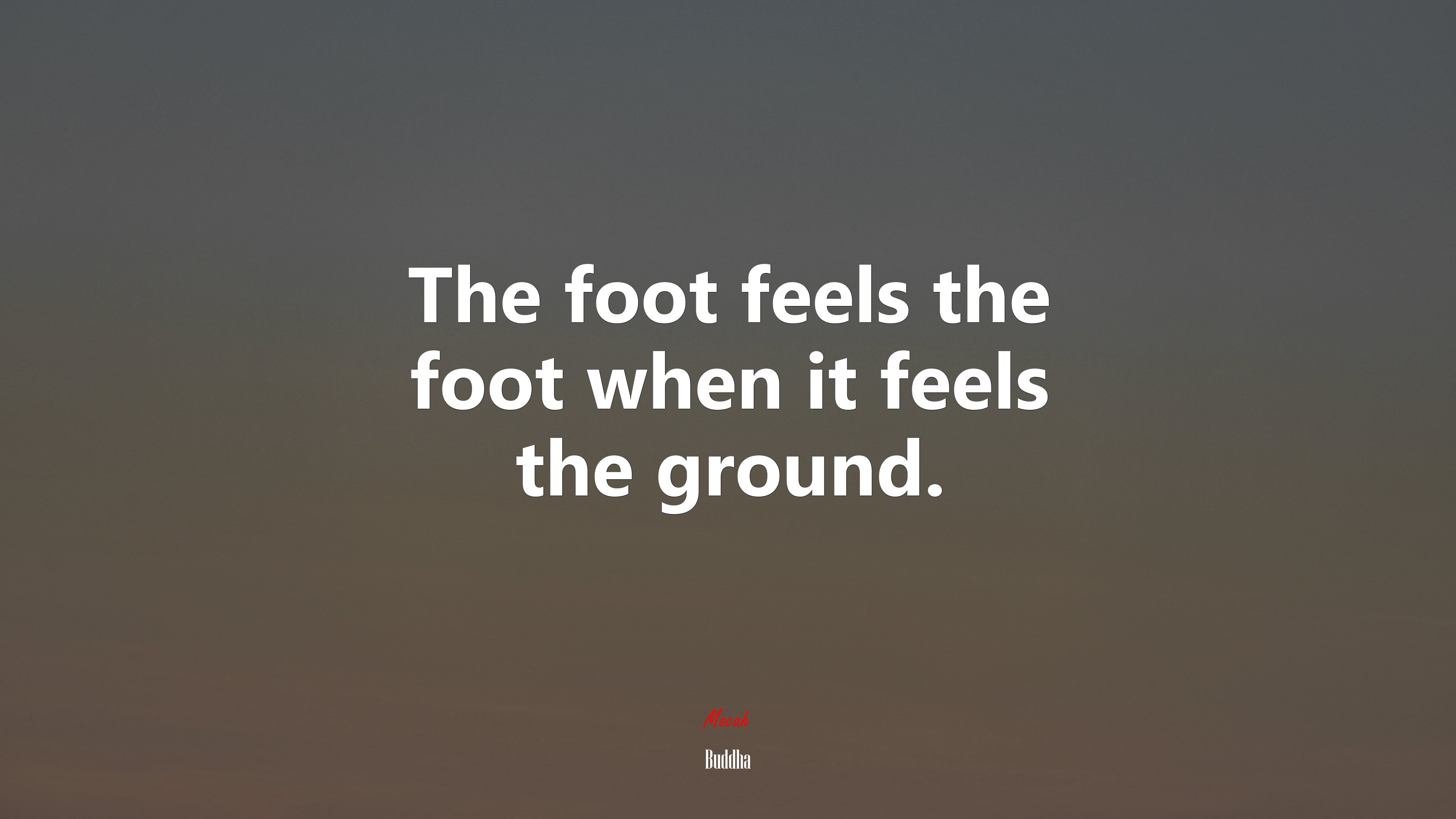 The foot feels the foot when it feels the ground. | Buddha quote HD Wallpaper