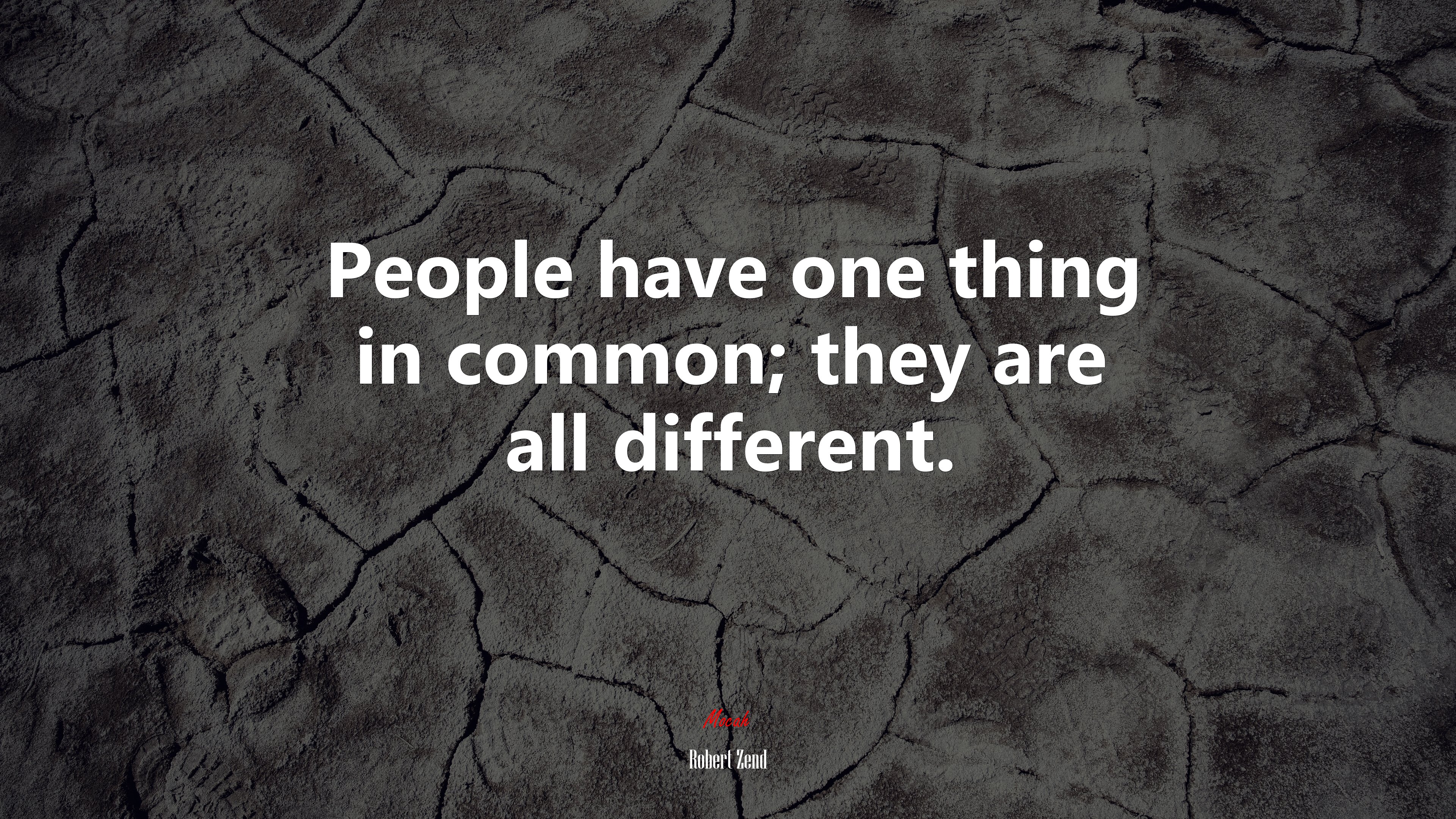 People have one thing in common; they are all different. | Robert Zend quote HD Wallpaper
