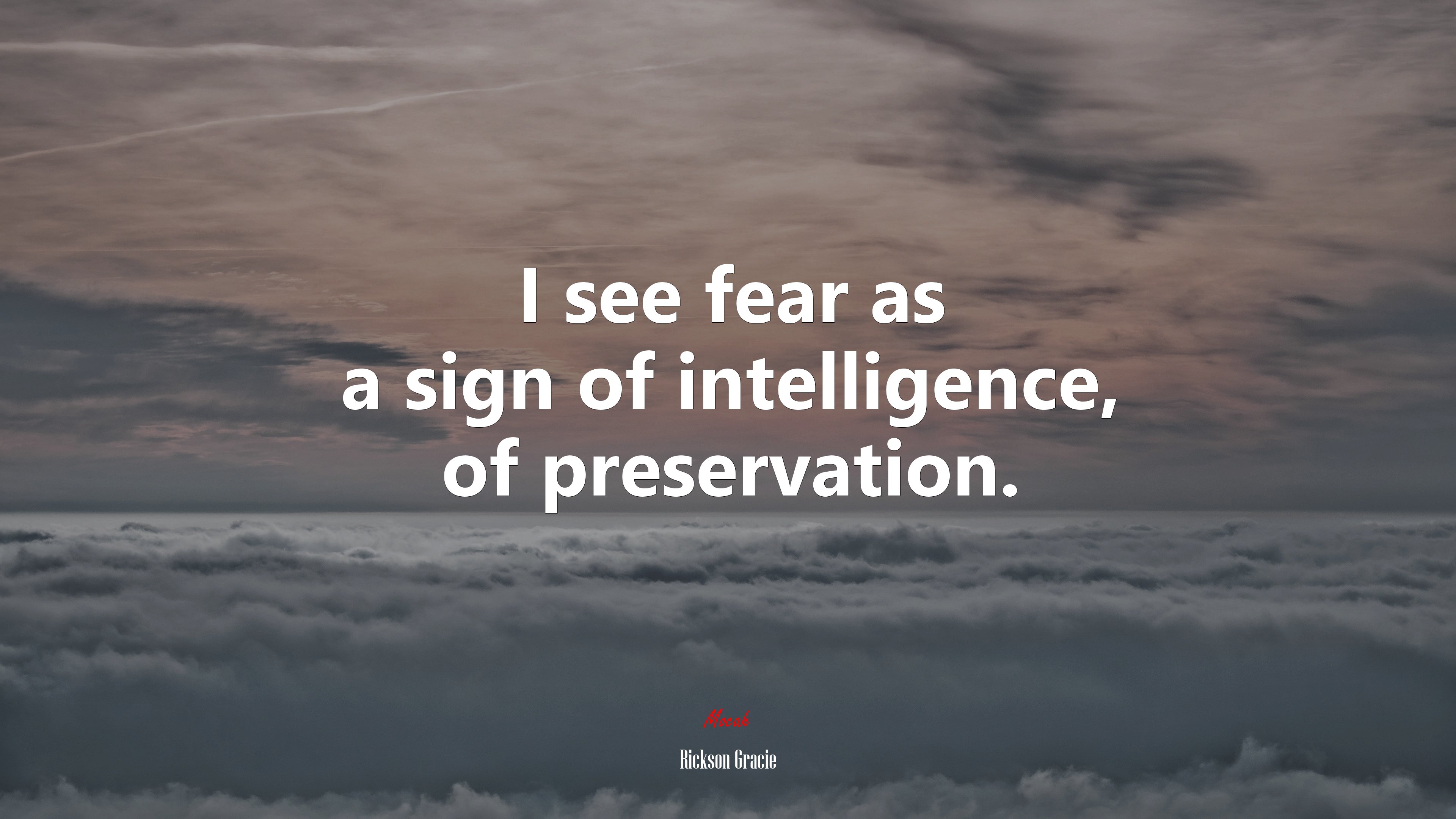 I see fear as a sign of intelligence, of preservation. | Rickson Gracie quote HD Wallpaper
