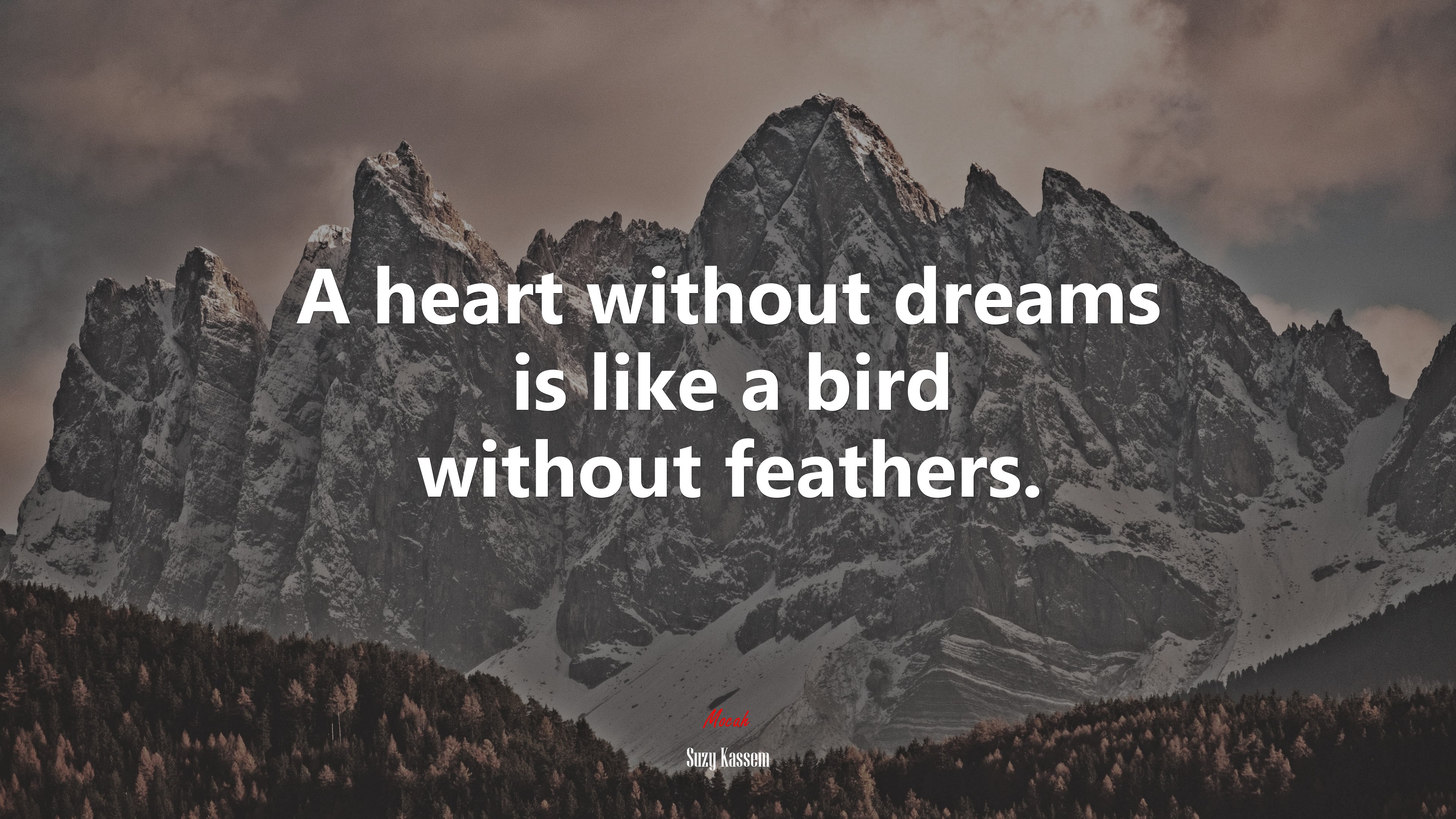 A heart without dreams is like a bird without feathers. | Suzy Kassem quote HD Wallpaper