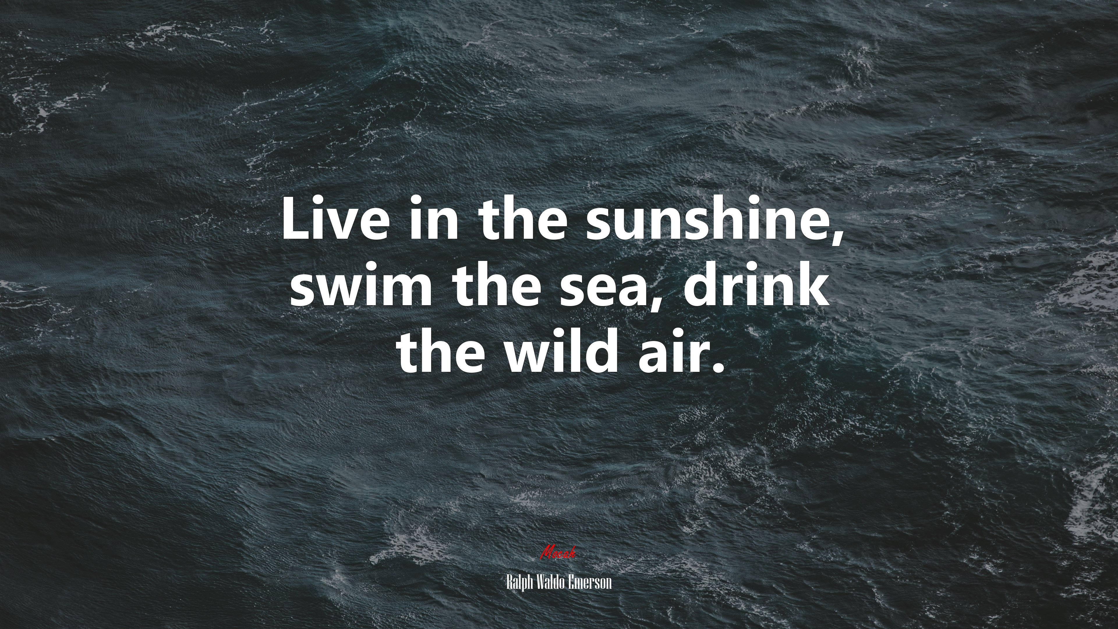 Live in the sunshine, swim the sea, drink the wild air. | Ralph Waldo Emerson quote HD Wallpaper