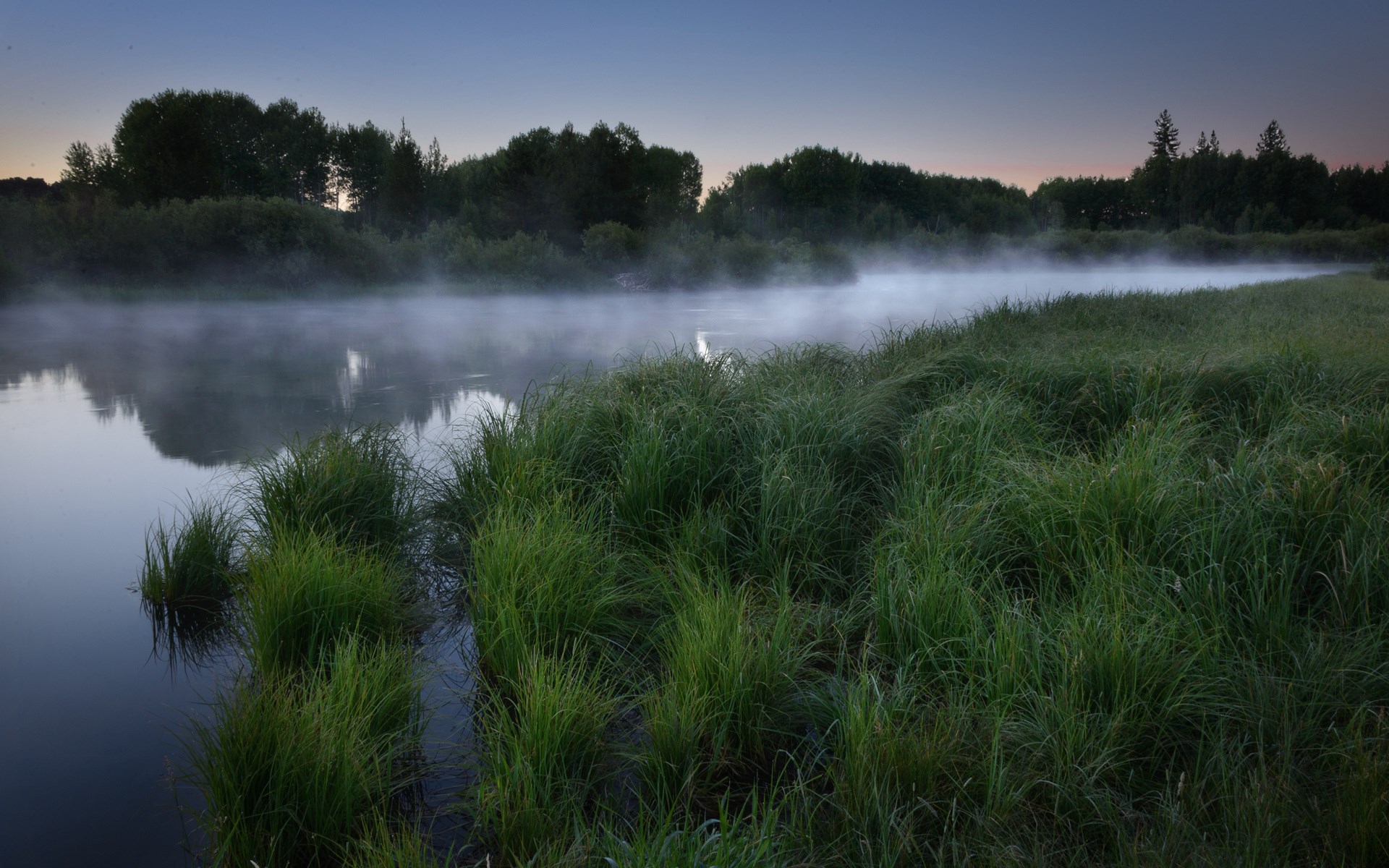 Misty river at dawn with green grass HD Wallpaper