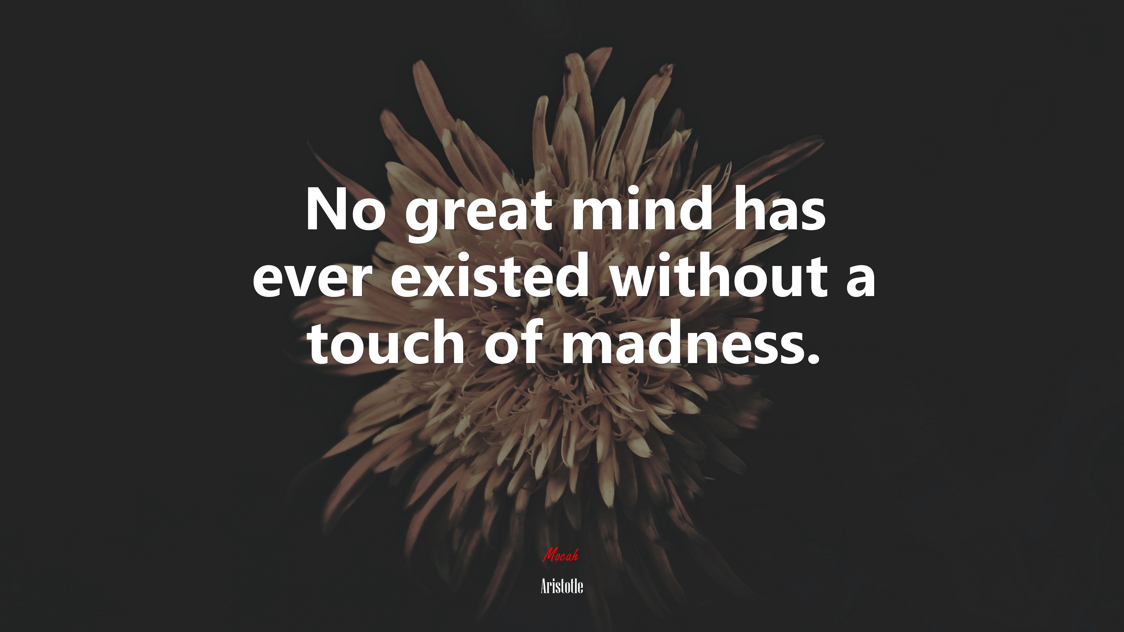 No great mind has ever existed without a touch of madness. | Aristotle quote HD Wallpaper