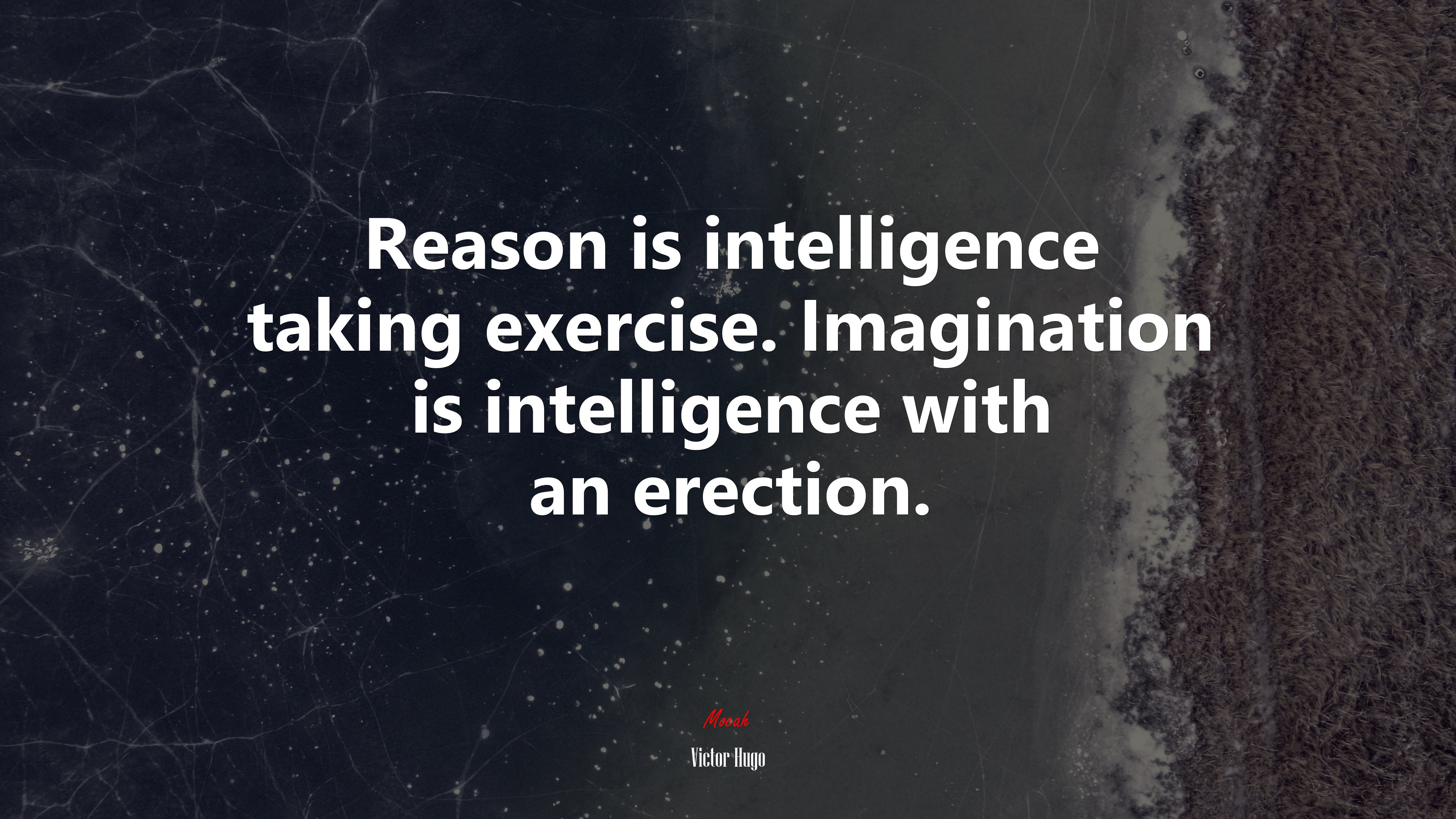 Reason is intelligence taking exercise. Imagination is intelligence with an erection. | Victor Hugo quote HD Wallpaper
