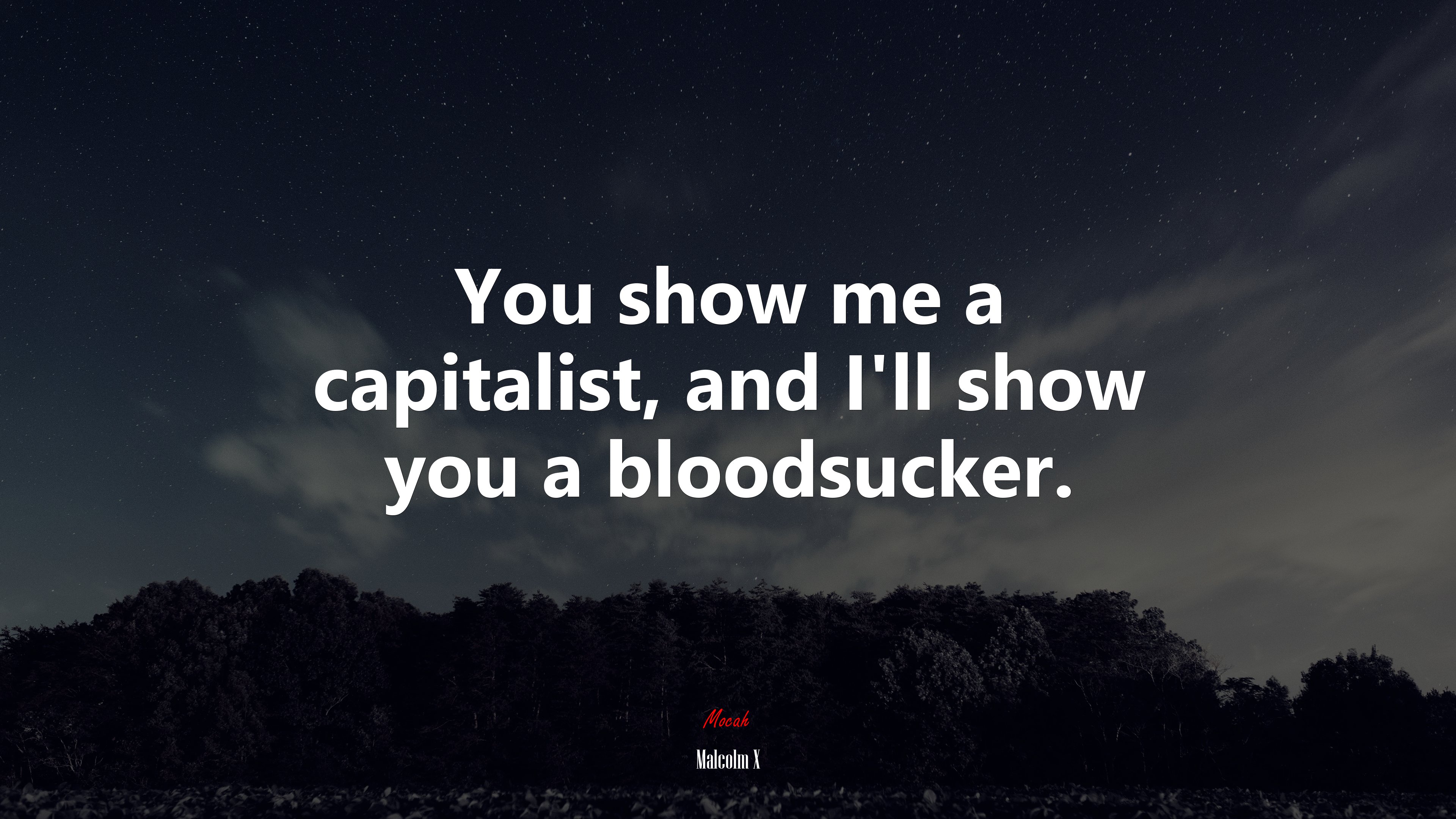 You show me a capitalist, and I’ll show you a bloodsucker. | Malcolm X quote HD Wallpaper