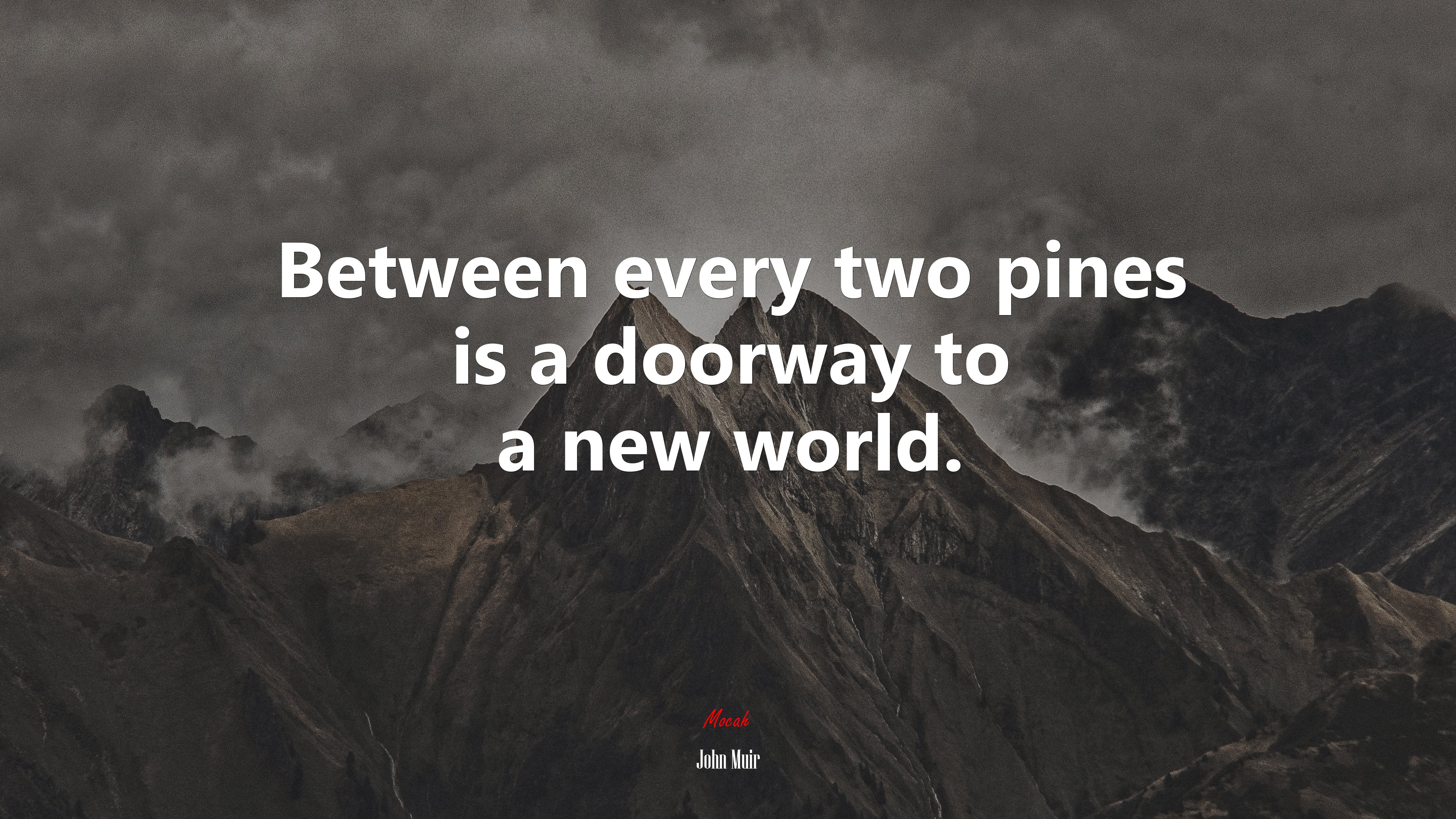 Between every two pines is a doorway to a new world. | John Muir quote HD Wallpaper
