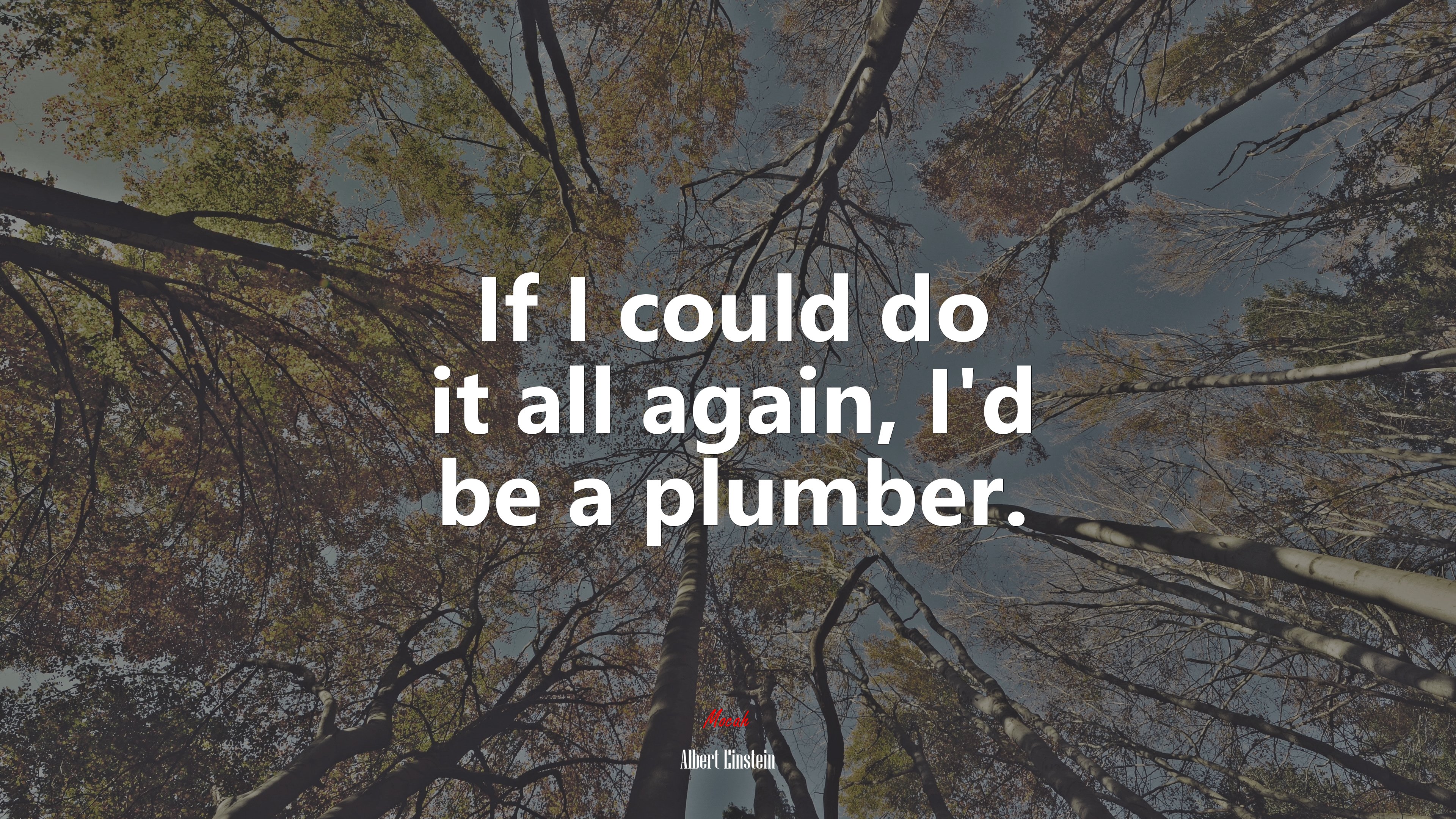 If I could do it all again, I’d be a plumber. | Albert Einstein quote HD Wallpaper