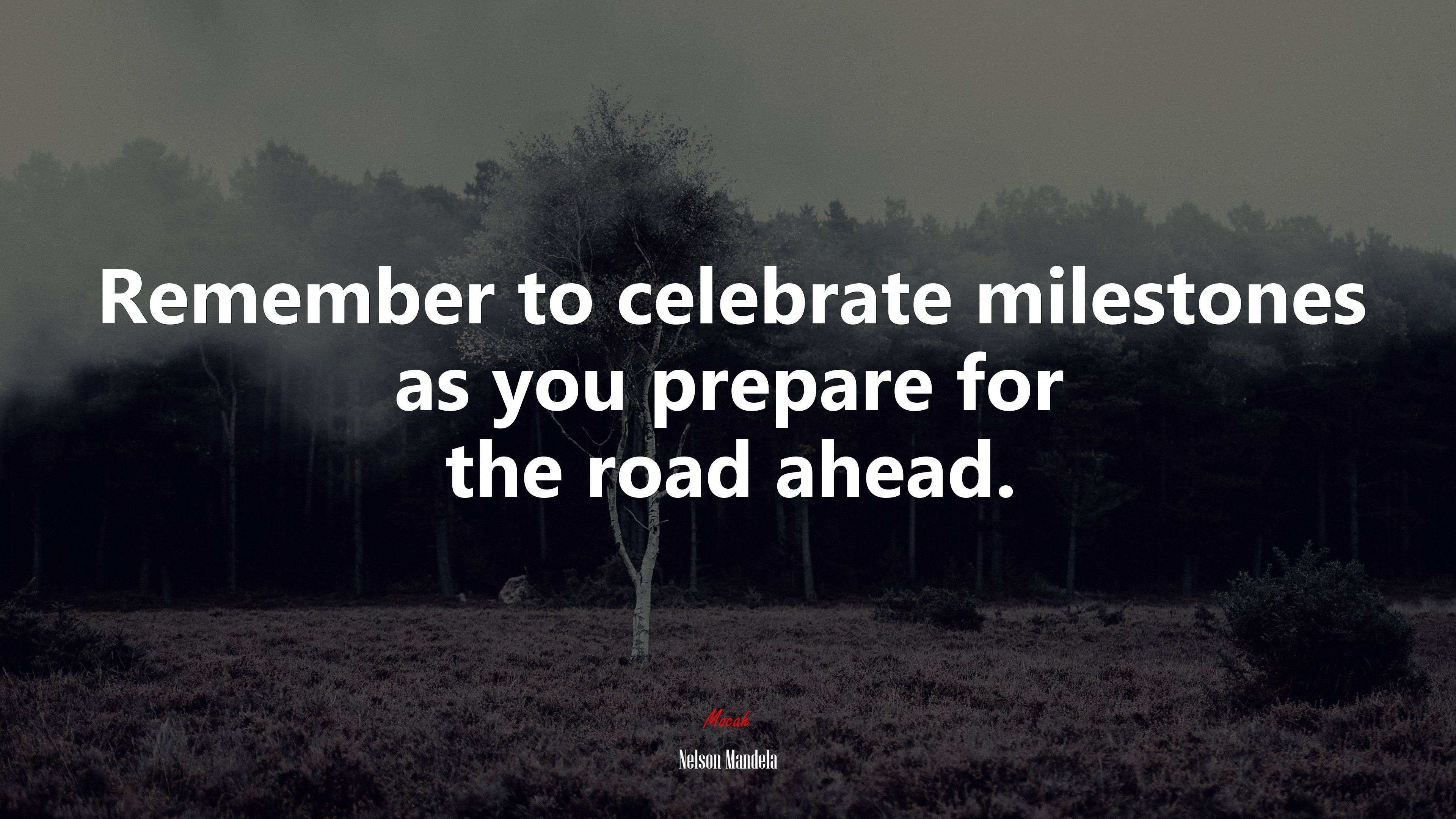 Remember to celebrate milestones as you prepare for the road ahead. | Nelson Mandela quote HD Wallpaper