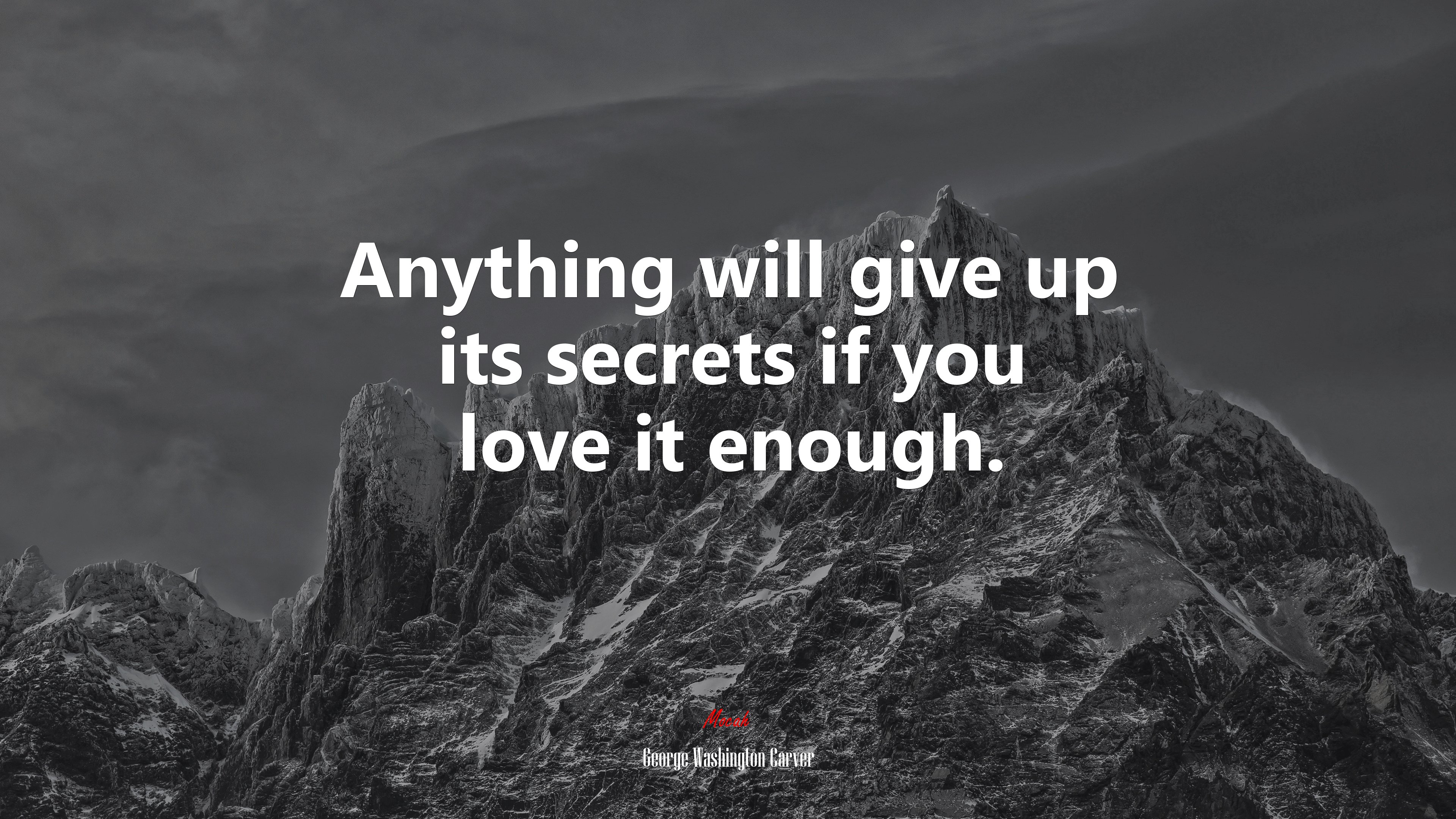 Anything will give up its secrets if you love it enough. | George Washington Carver quote HD Wallpaper