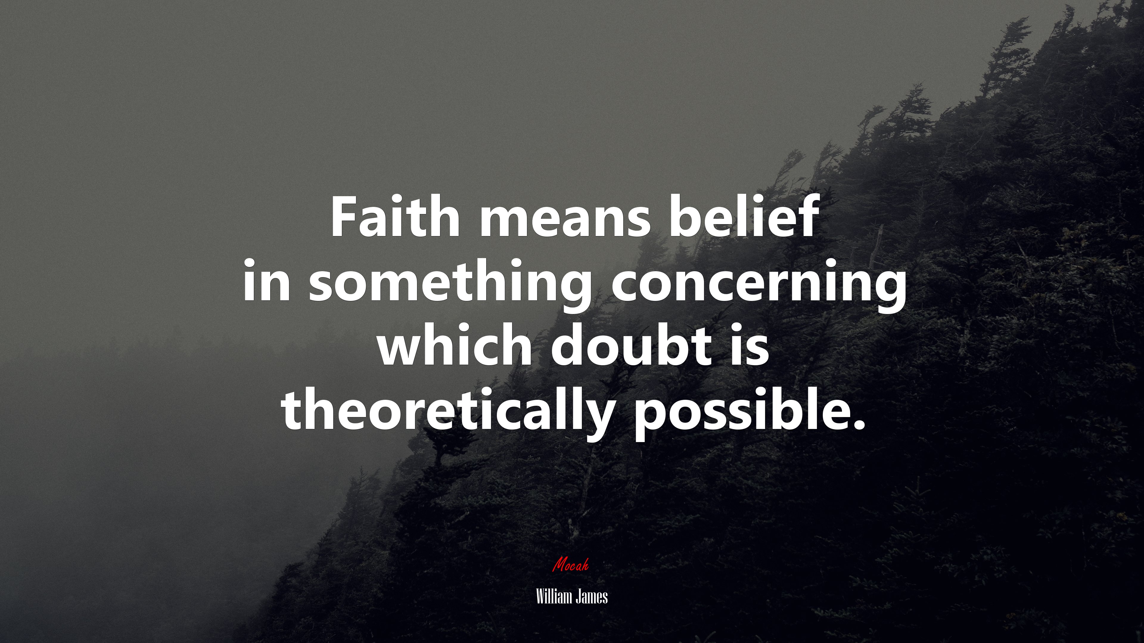 Faith means belief in something concerning which doubt is theoretically possible. | William James quote HD Wallpaper