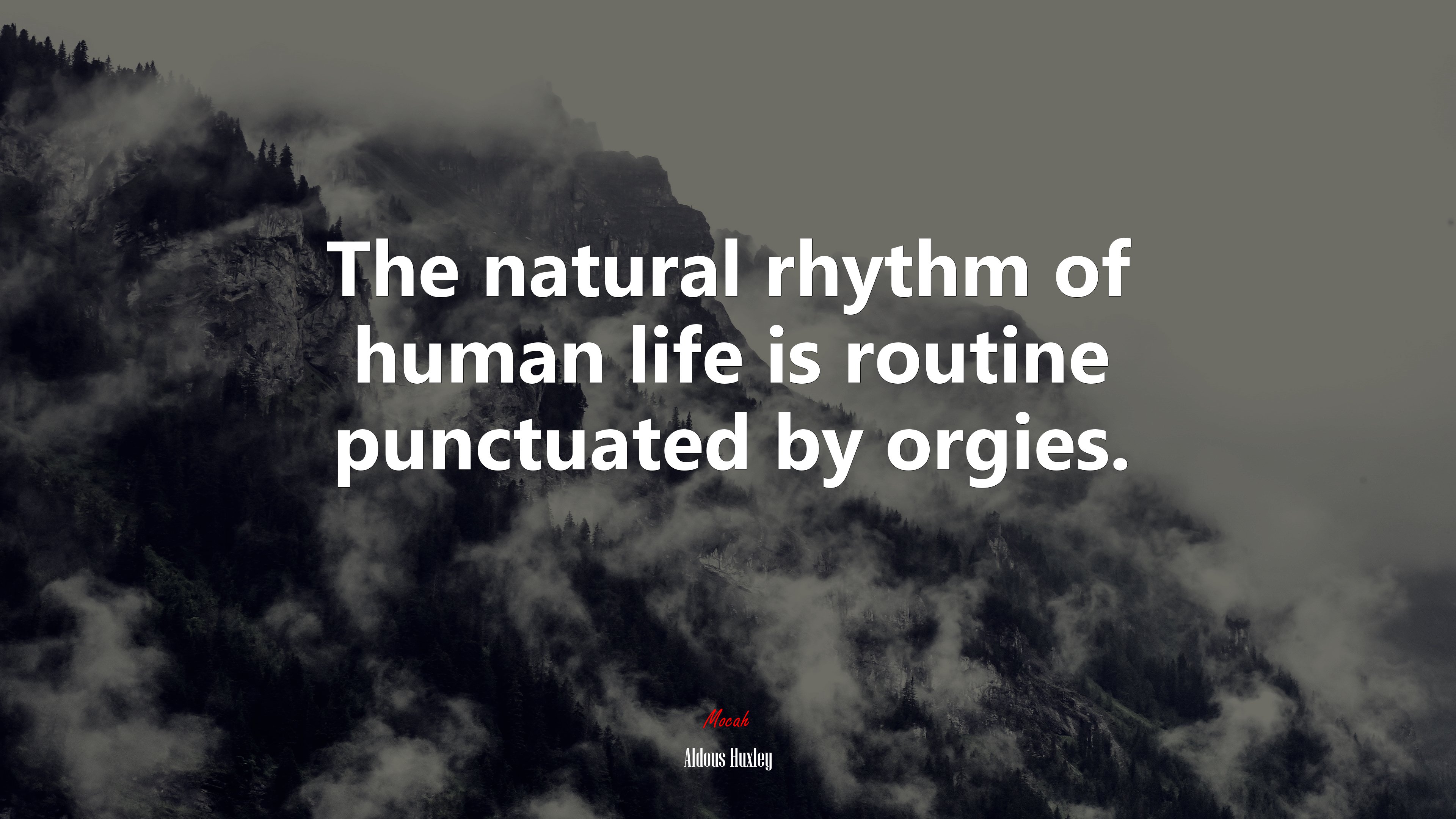 The natural rhythm of human life is routine punctuated by orgies. | Aldous Huxley quote HD Wallpaper