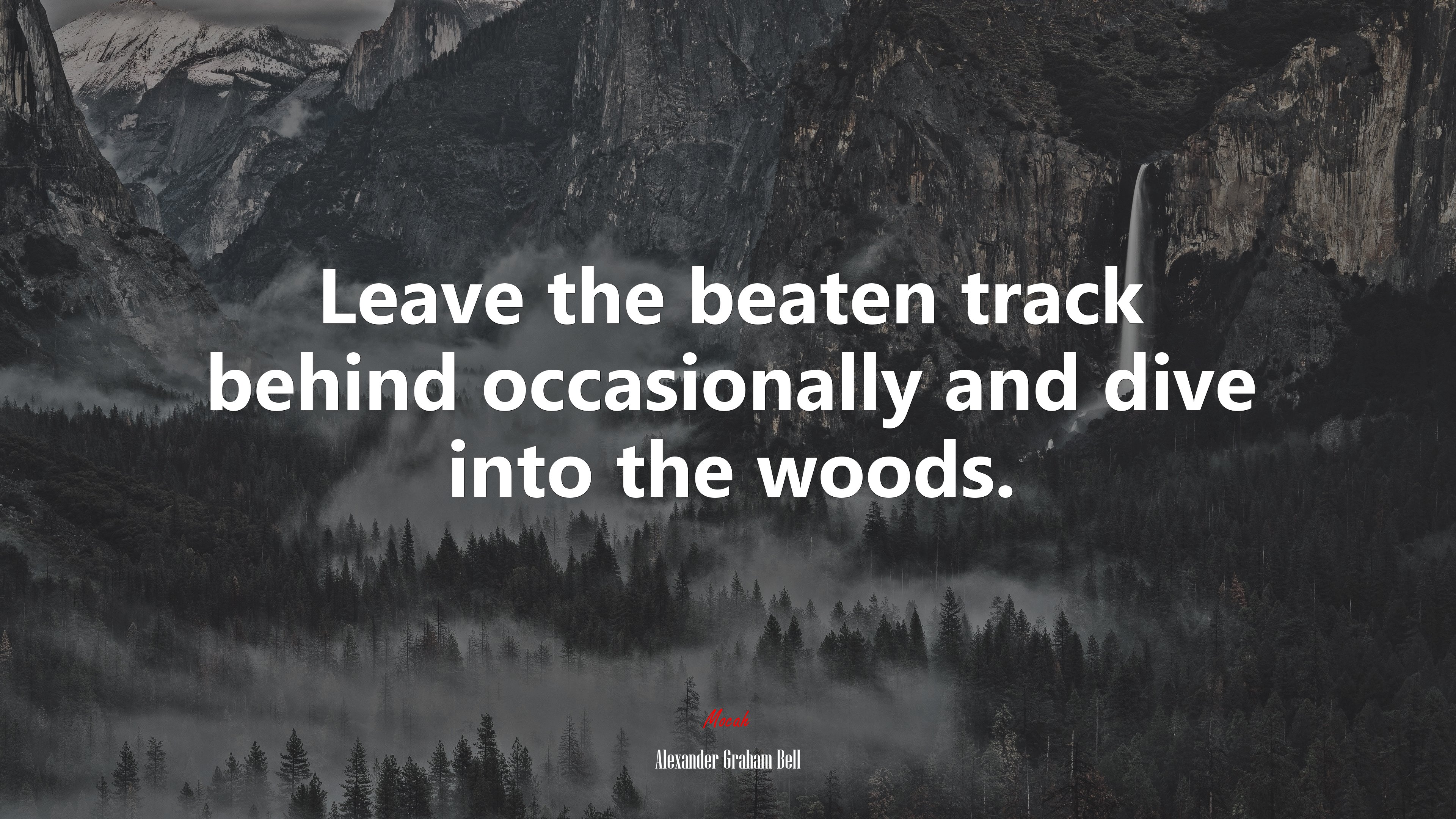 Leave the beaten track behind occasionally and dive into the woods. | Alexander Graham Bell quote HD Wallpaper