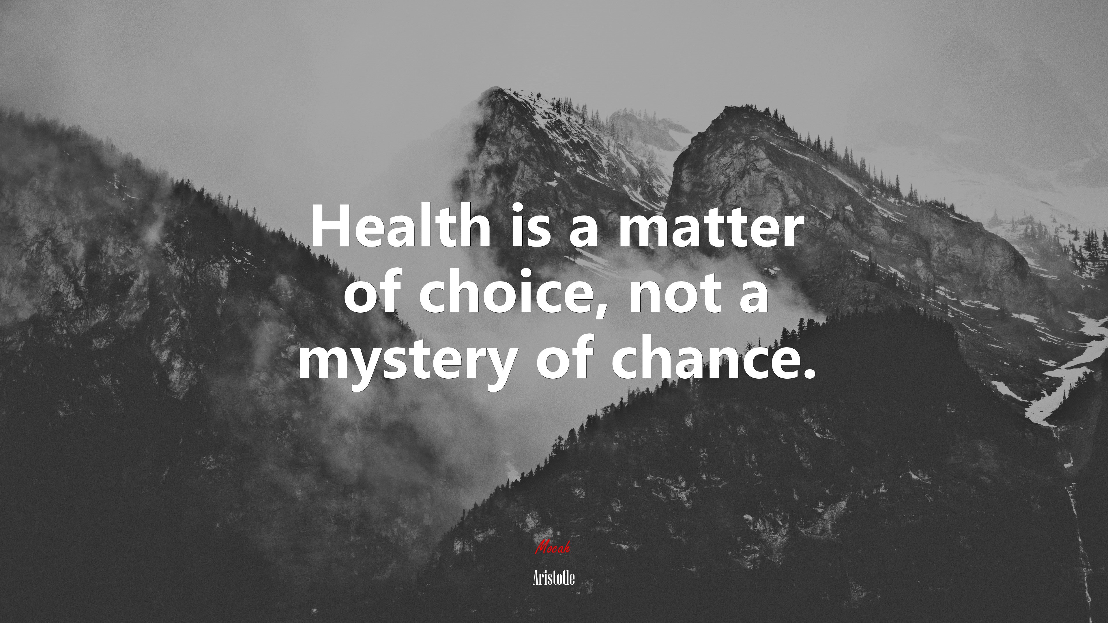 Health is a matter of choice, not a mystery of chance. | Aristotle quote HD Wallpaper