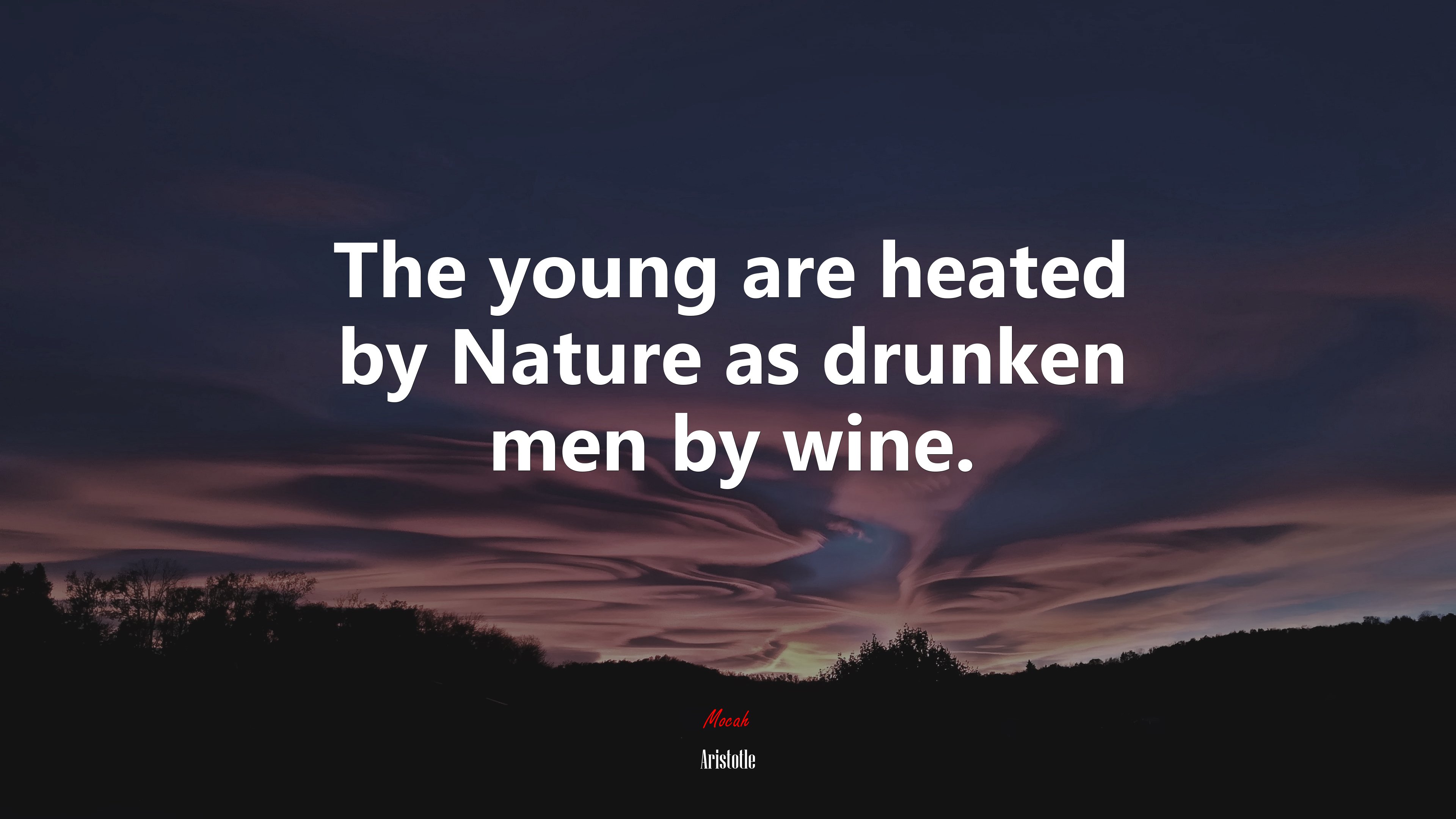 The young are heated by Nature as drunken men by wine. | Aristotle quote HD Wallpaper