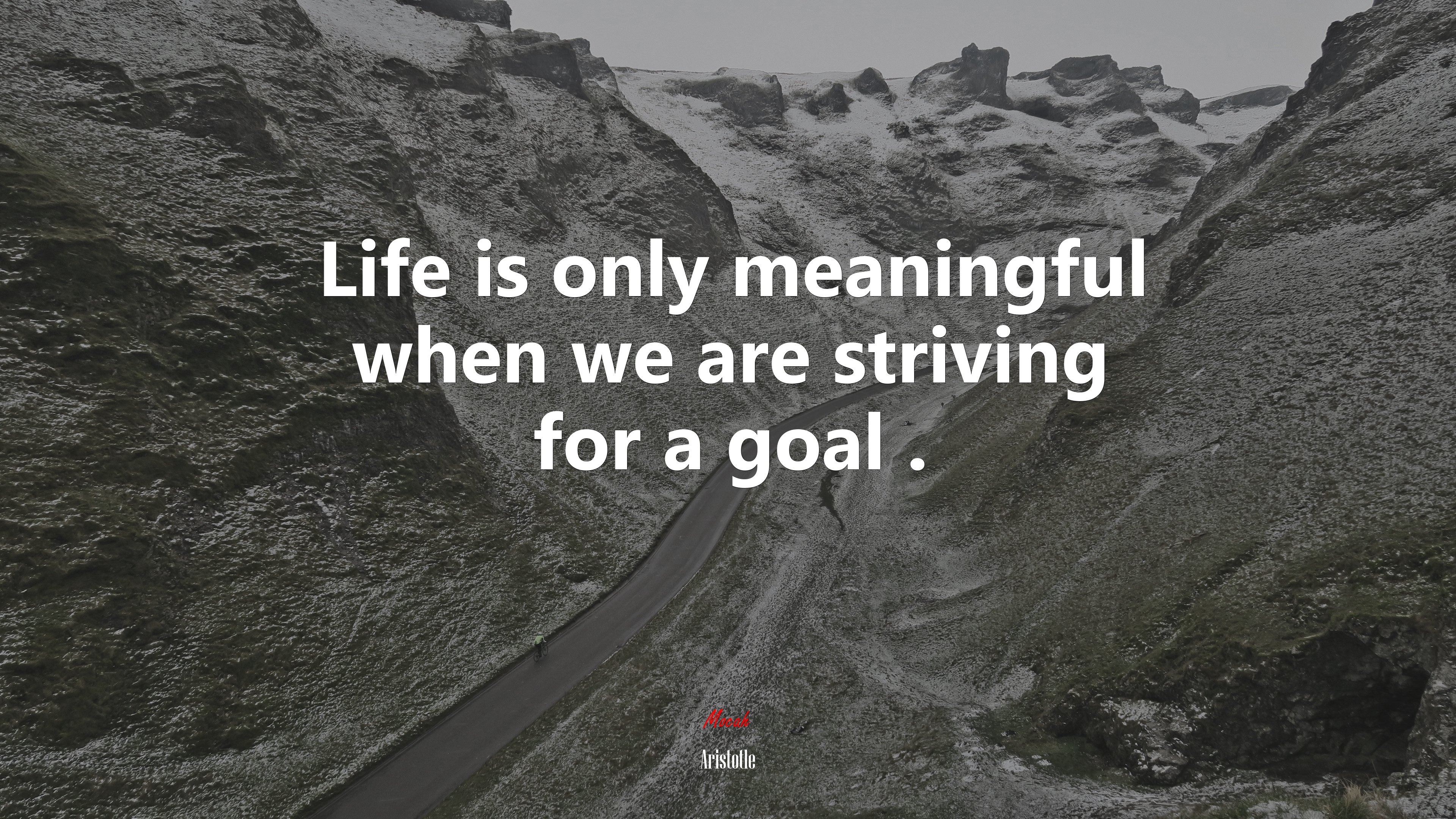 Life is only meaningful when we are striving for a goal . | Aristotle quote HD Wallpaper