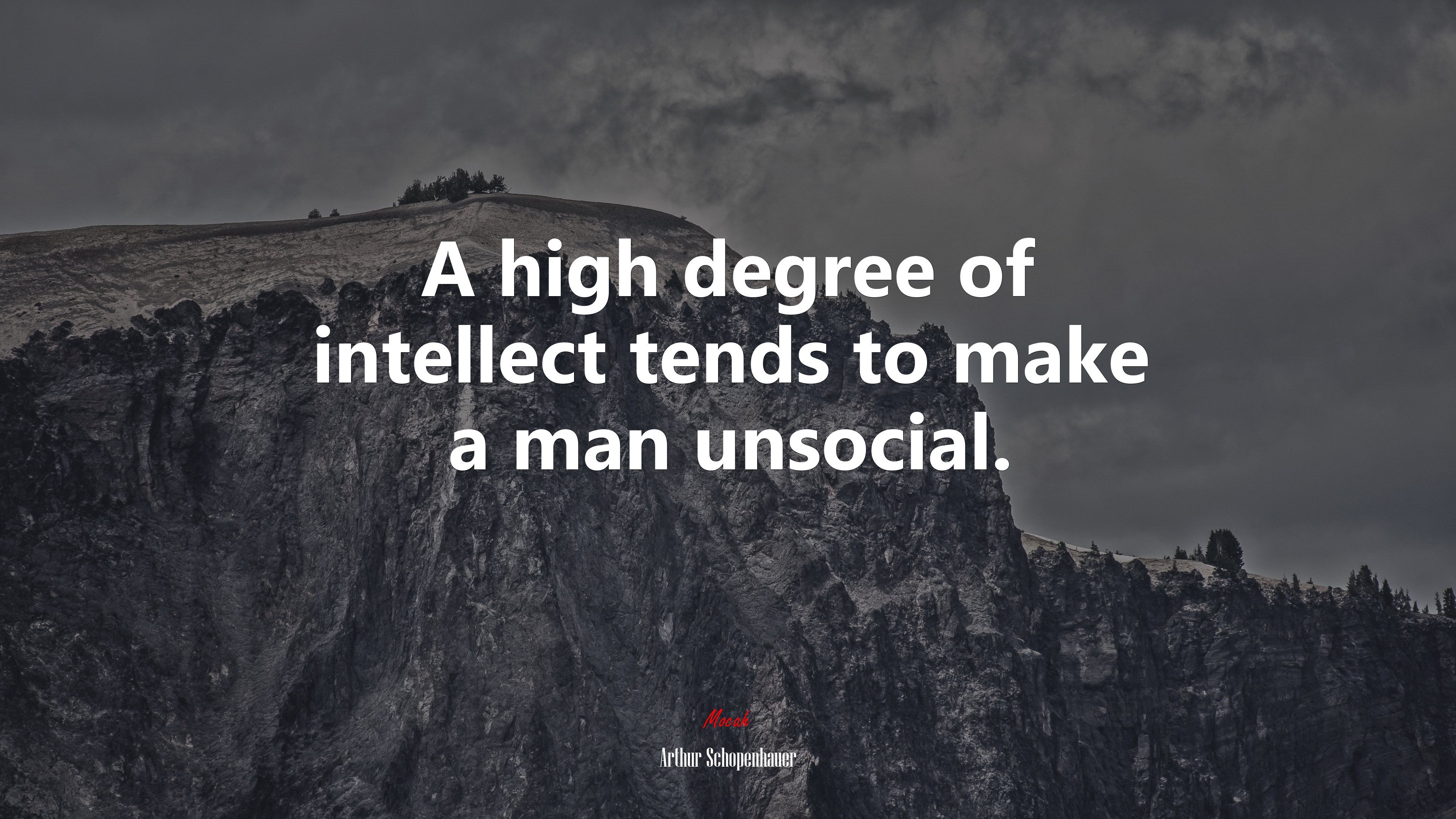 A high degree of intellect tends to make a man unsocial. | Arthur Schopenhauer quote HD Wallpaper