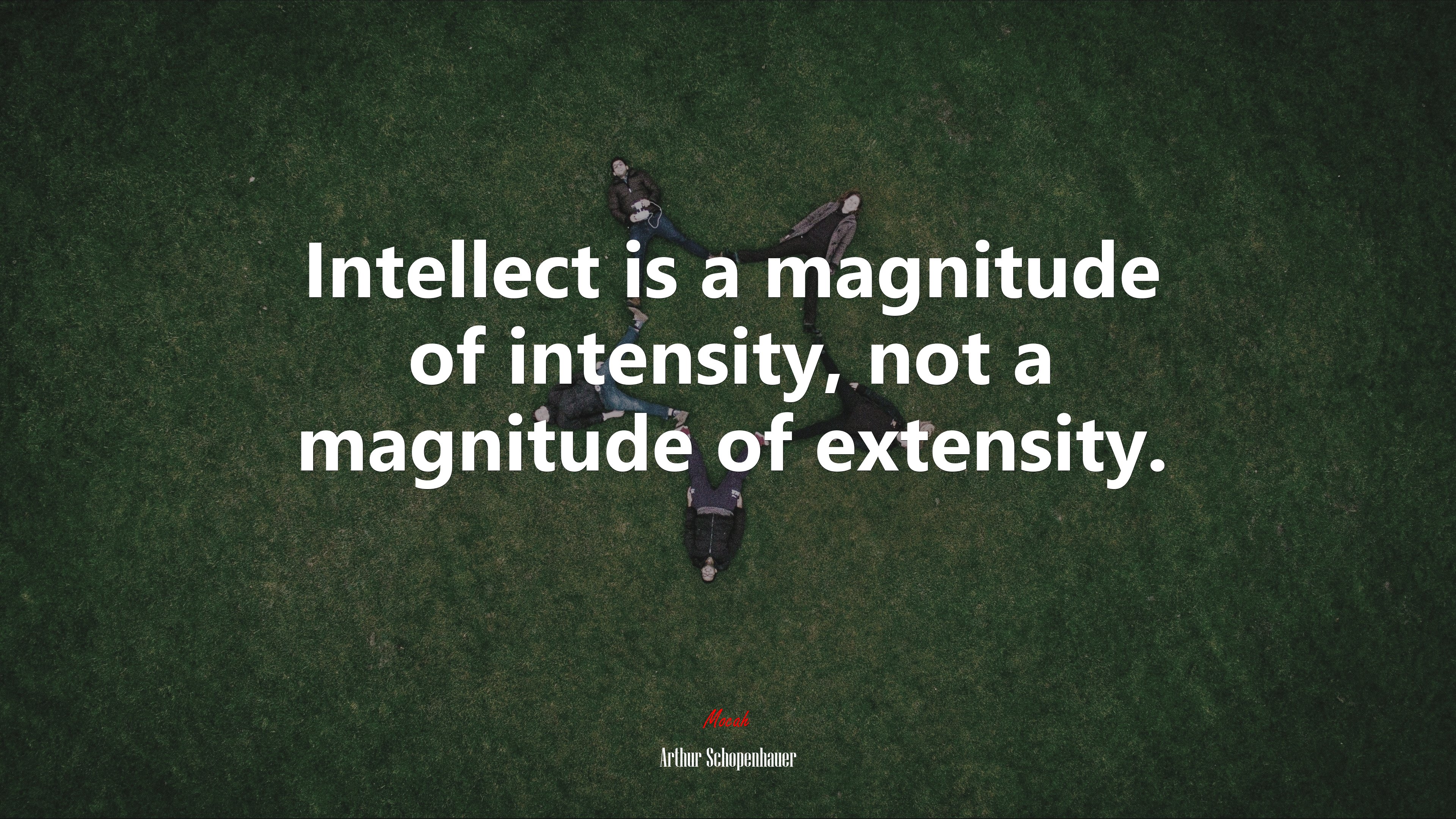 Intellect is a magnitude of intensity, not a magnitude of extensity. | Arthur Schopenhauer quote HD Wallpaper