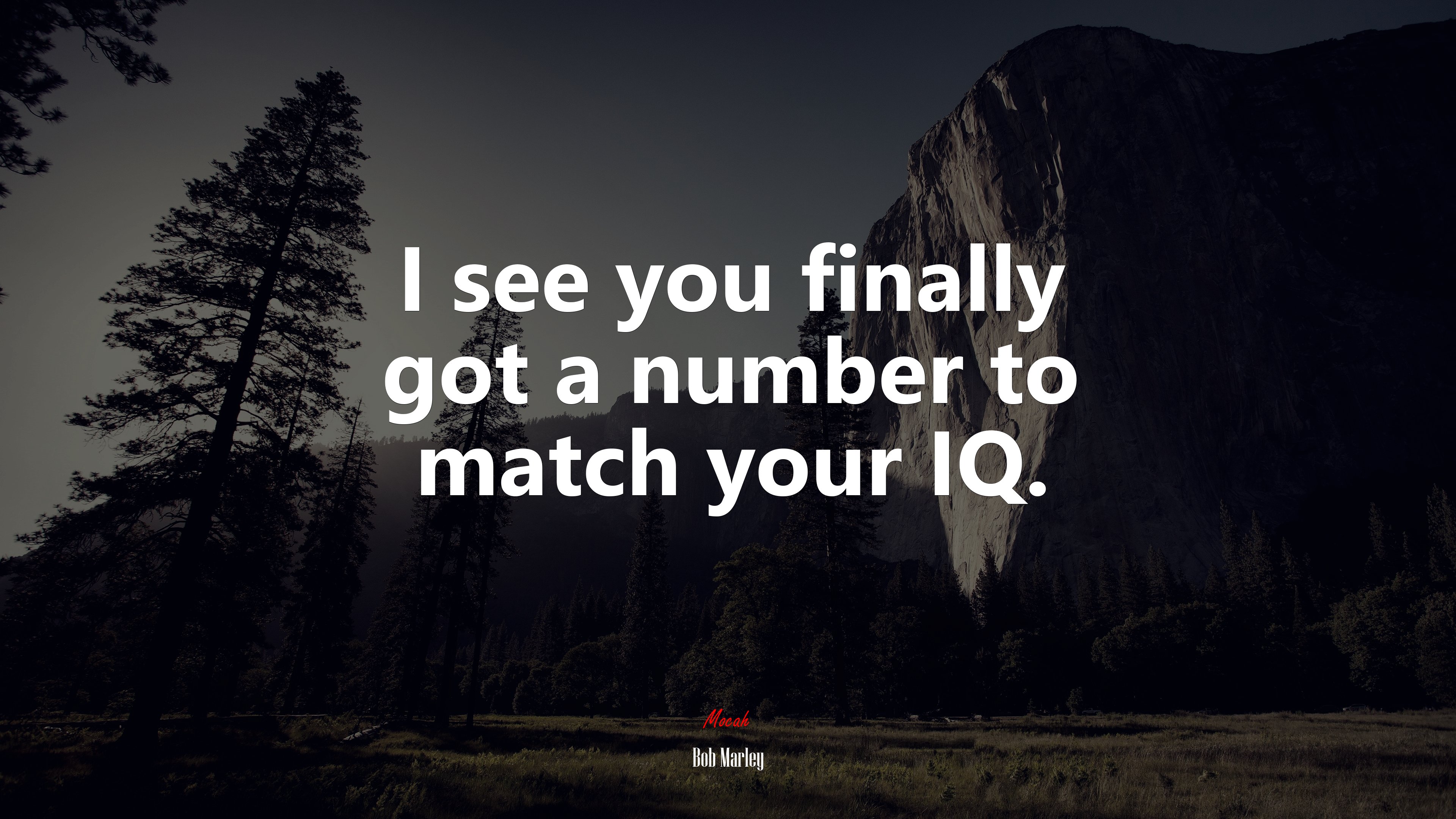 I see you finally got a number to match your IQ. | Bob Marley quote HD Wallpaper