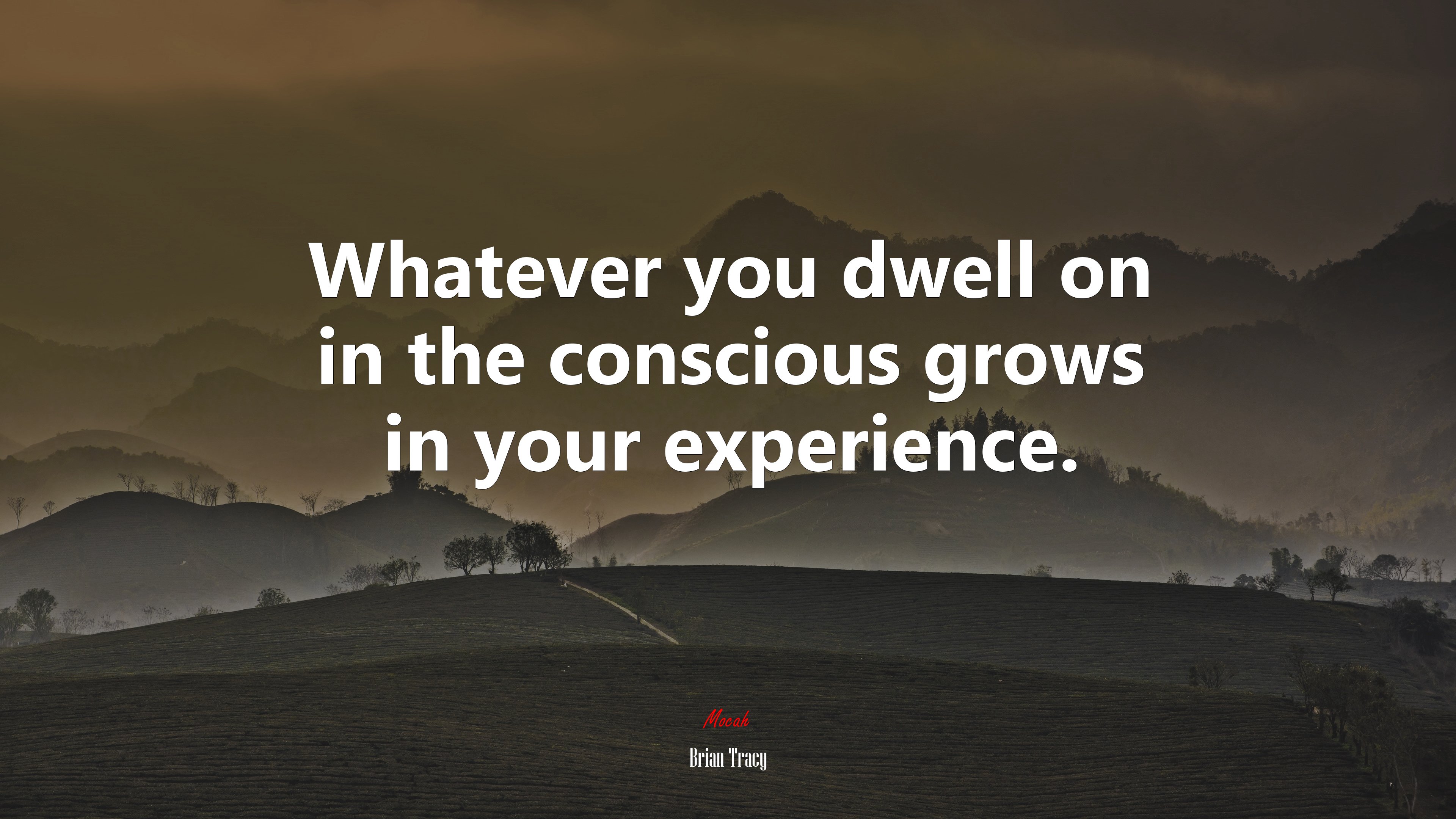 Whatever you dwell on in the conscious grows in your experience. | Brian Tracy quote HD Wallpaper