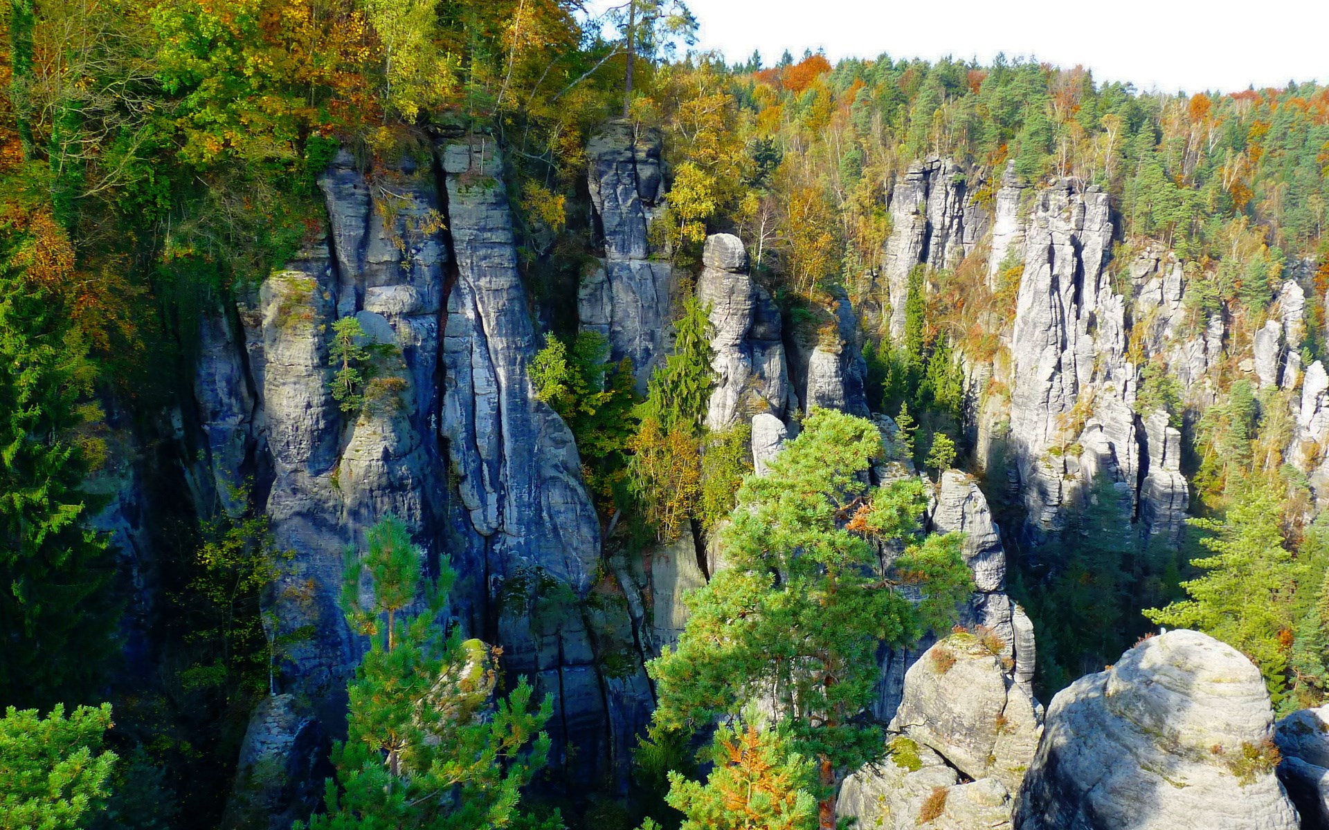 Rocky cliffs with autumn trees HD Wallpaper