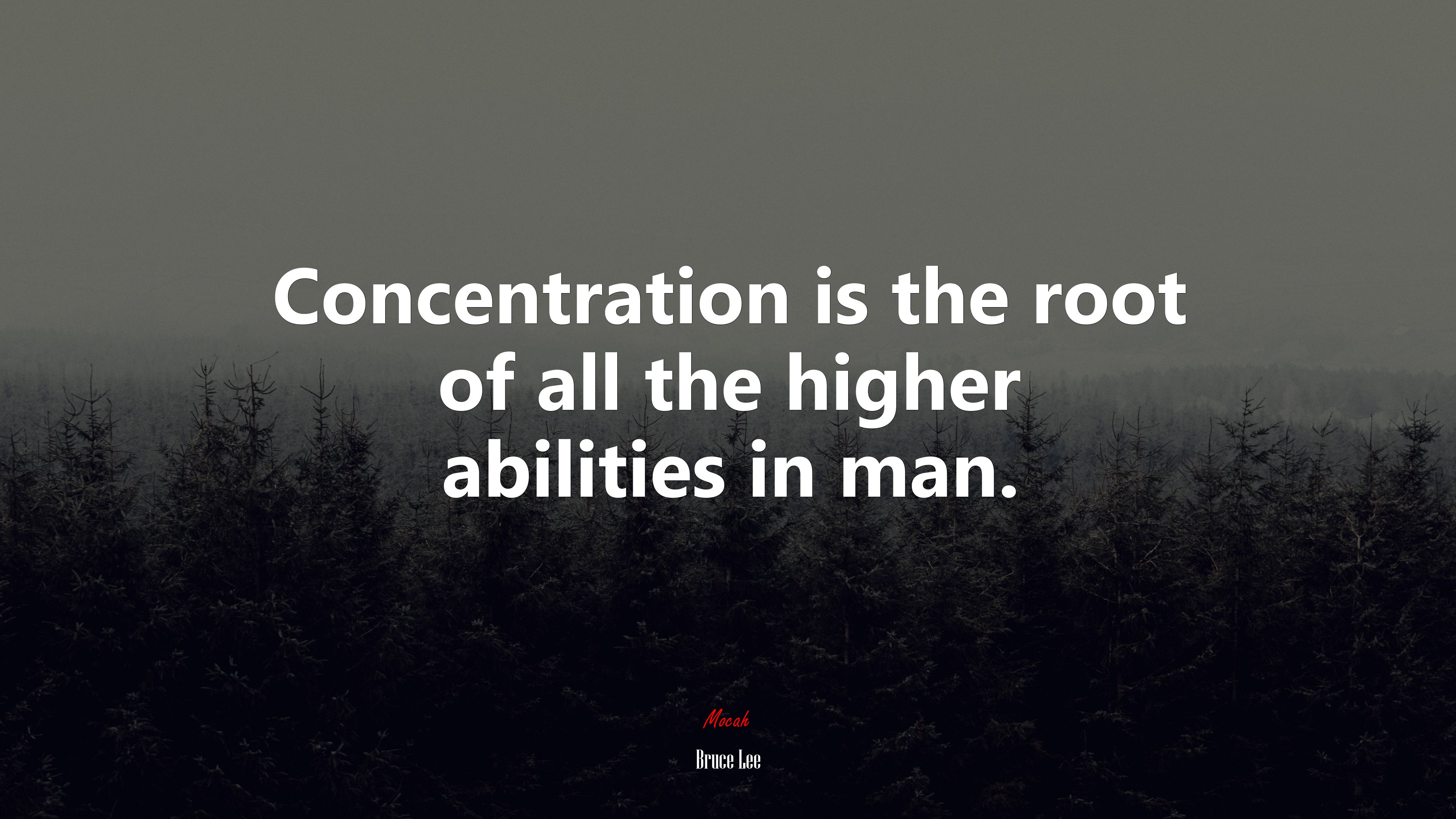 Concentration is the root of all the higher abilities in man. | Bruce Lee quote HD Wallpaper