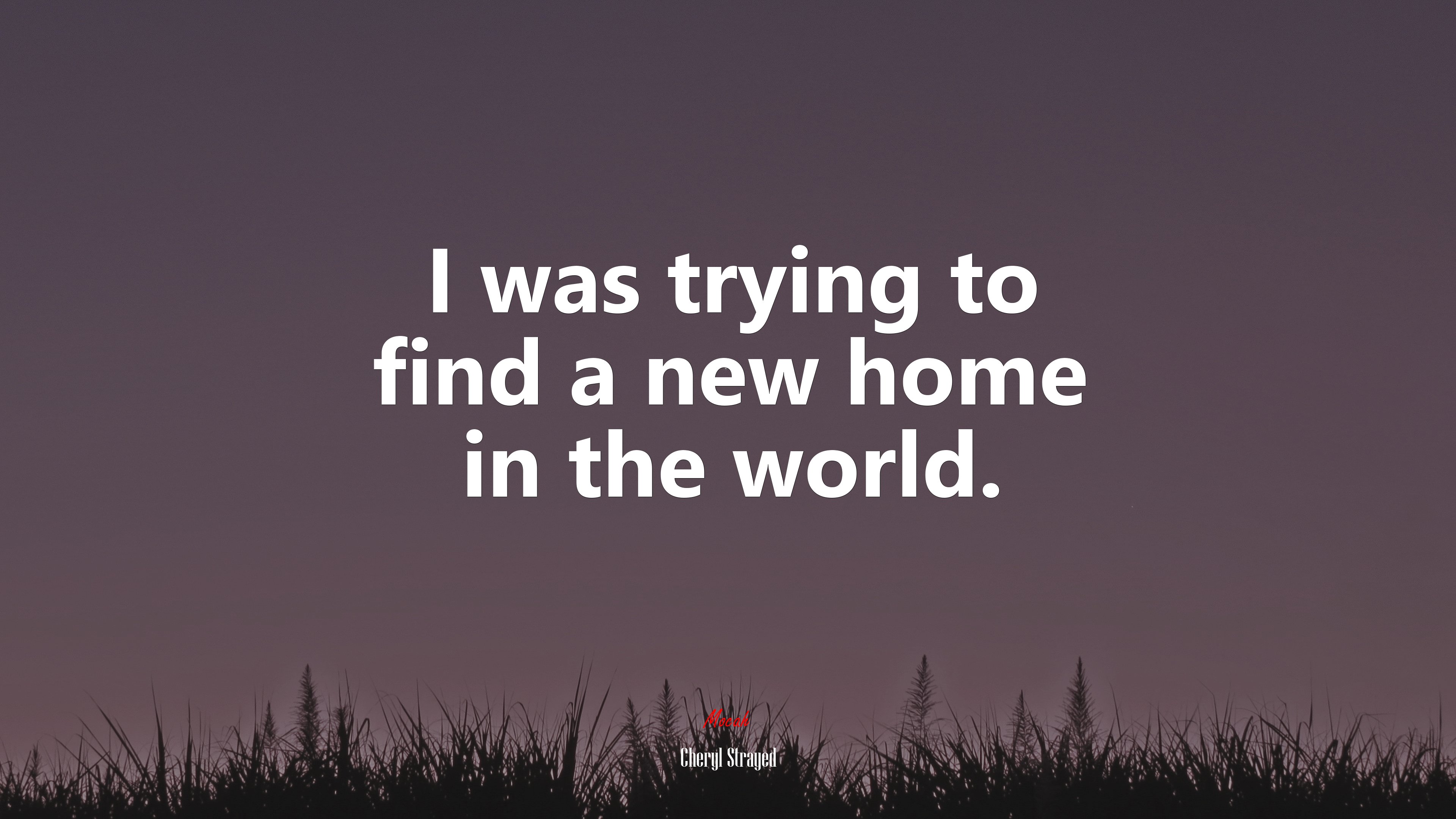 I was trying to find a new home in the world. | Cheryl Strayed quote HD Wallpaper