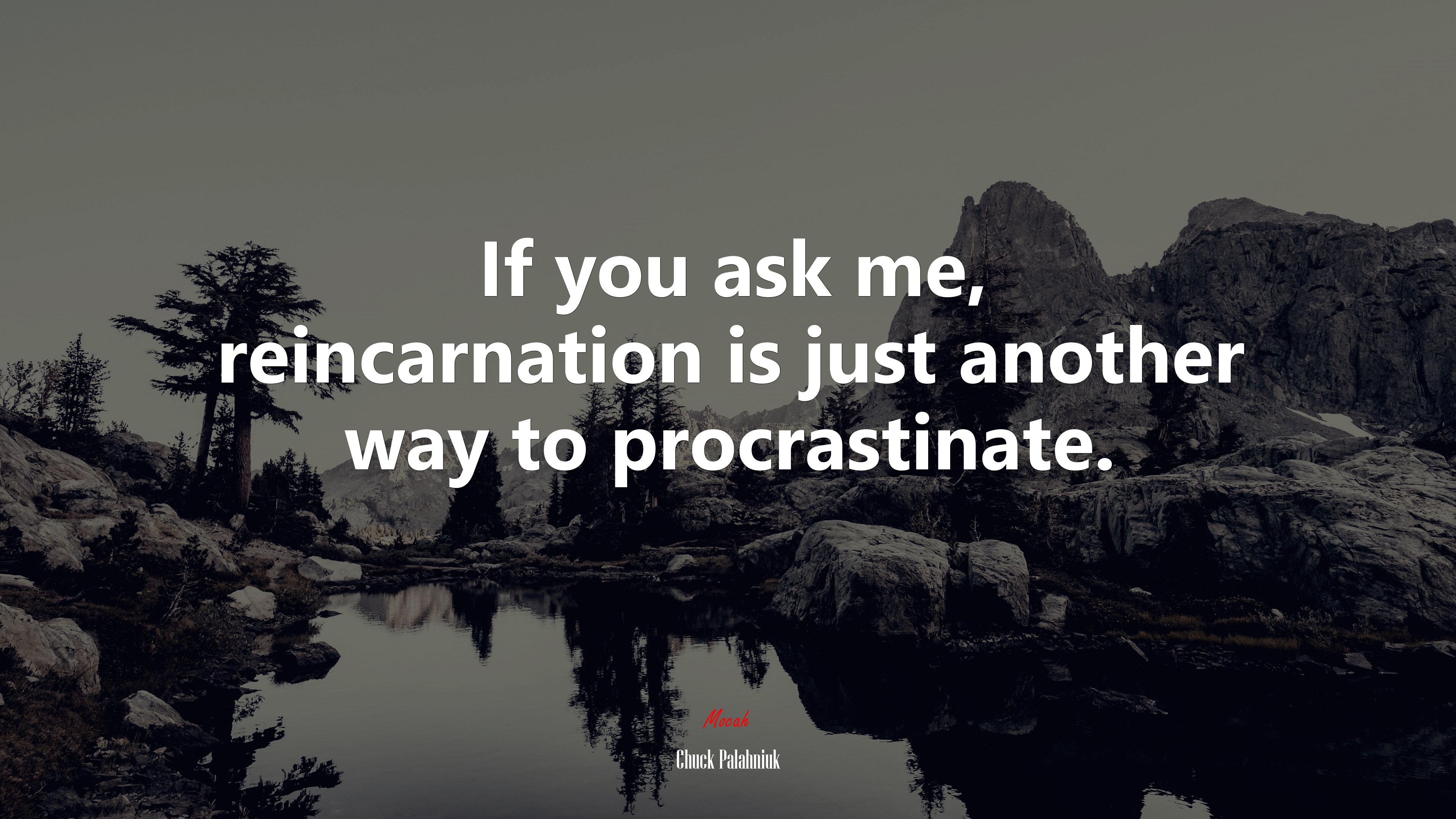 If you ask me, reincarnation is just another way to procrastinate. | Chuck Palahniuk quote HD Wallpaper