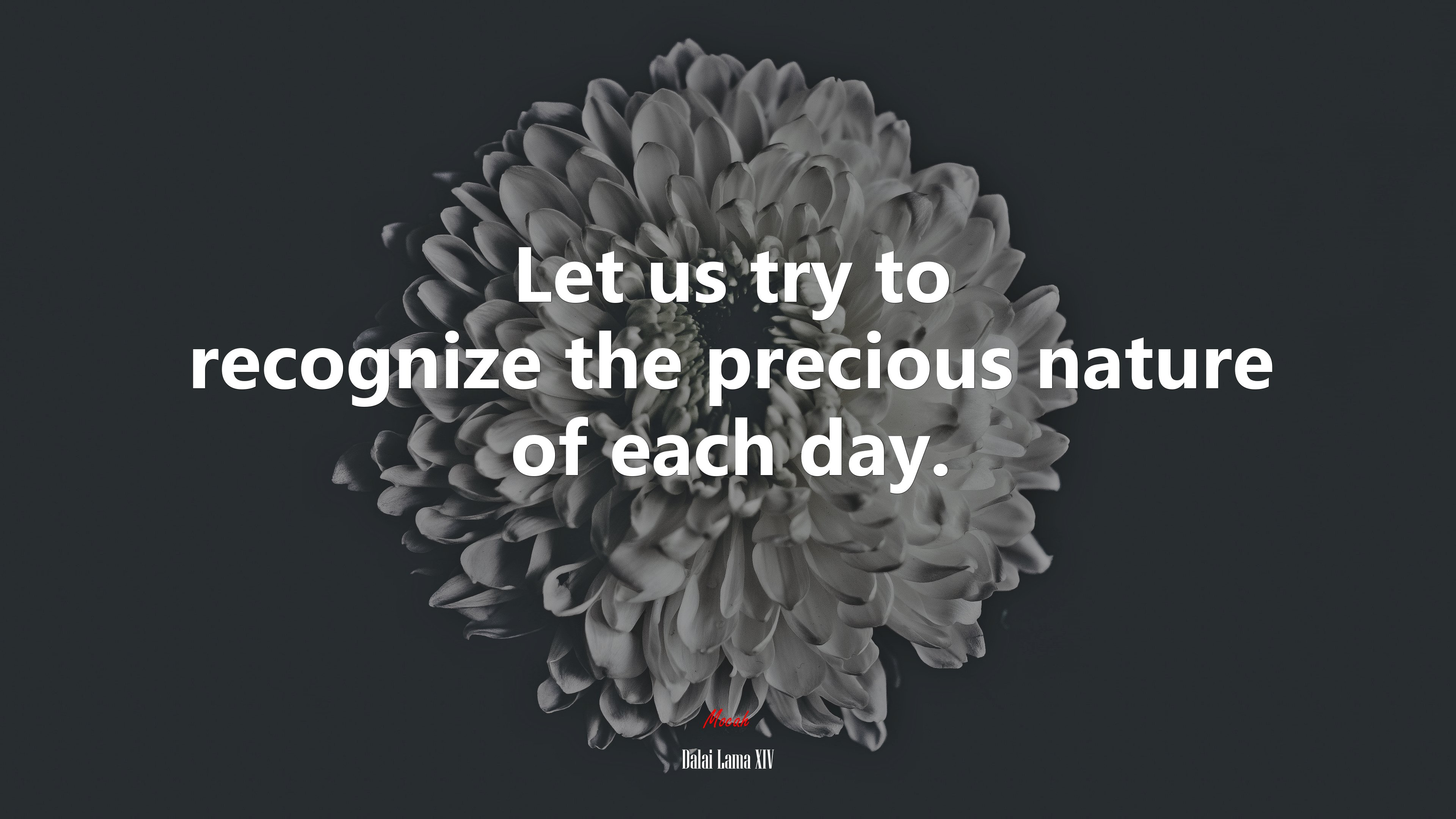 Let us try to recognize the precious nature of each day. | Dalai Lama XIV quote HD Wallpaper