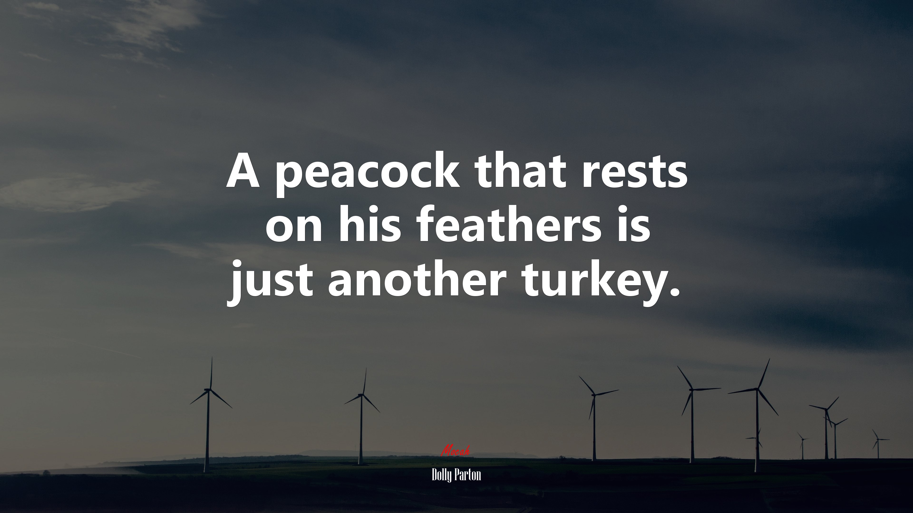 A peacock that rests on his feathers is just another turkey. | Dolly Parton quote HD Wallpaper