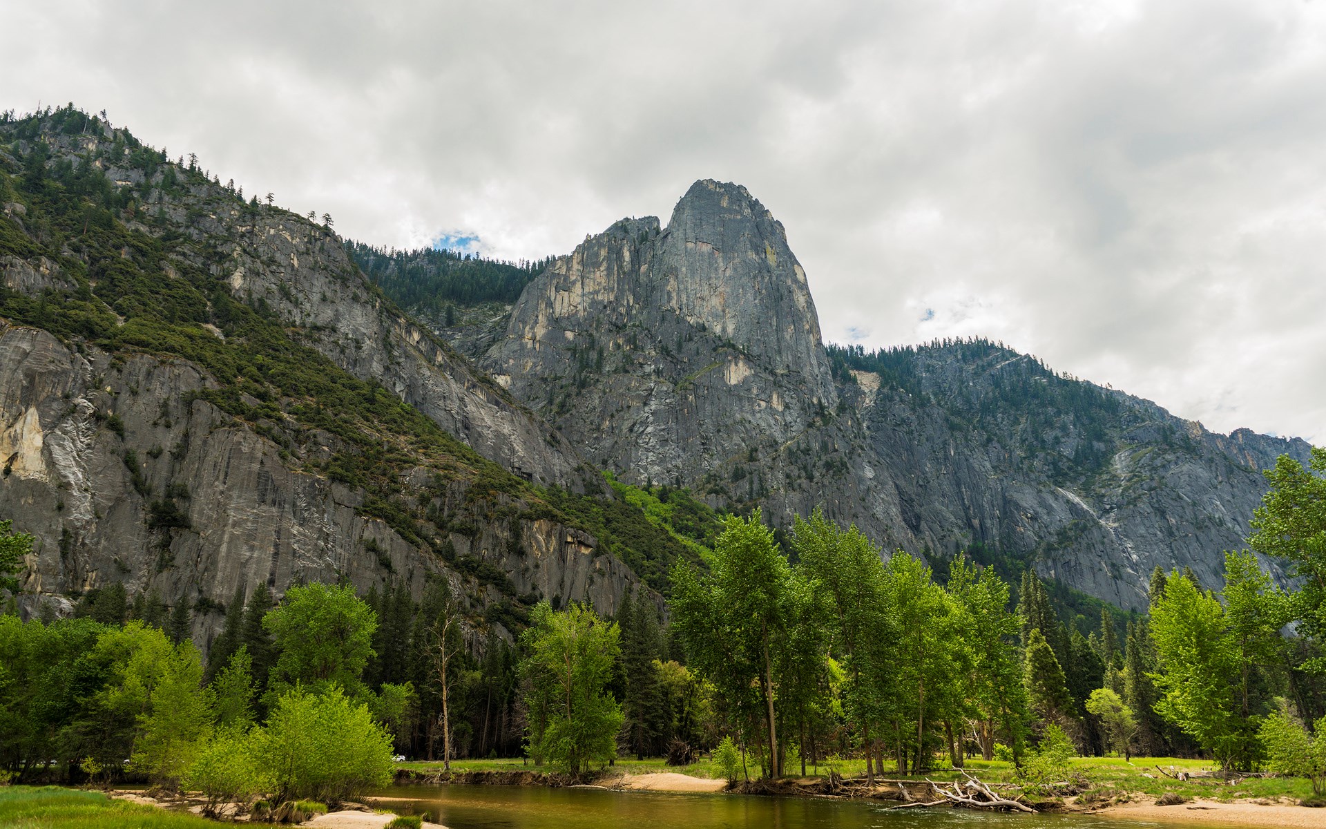 Mountain peak and trees by a river HD Wallpaper