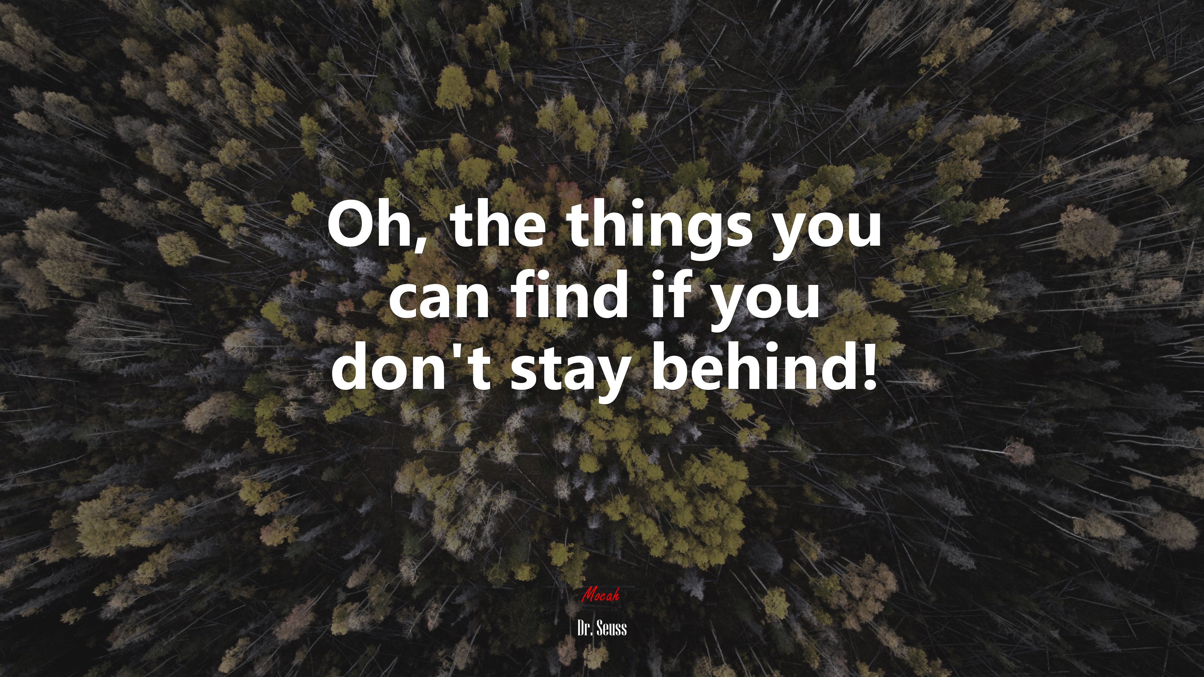 Oh, the things you can find if you don’t stay behind! | Dr. Seuss quote HD Wallpaper