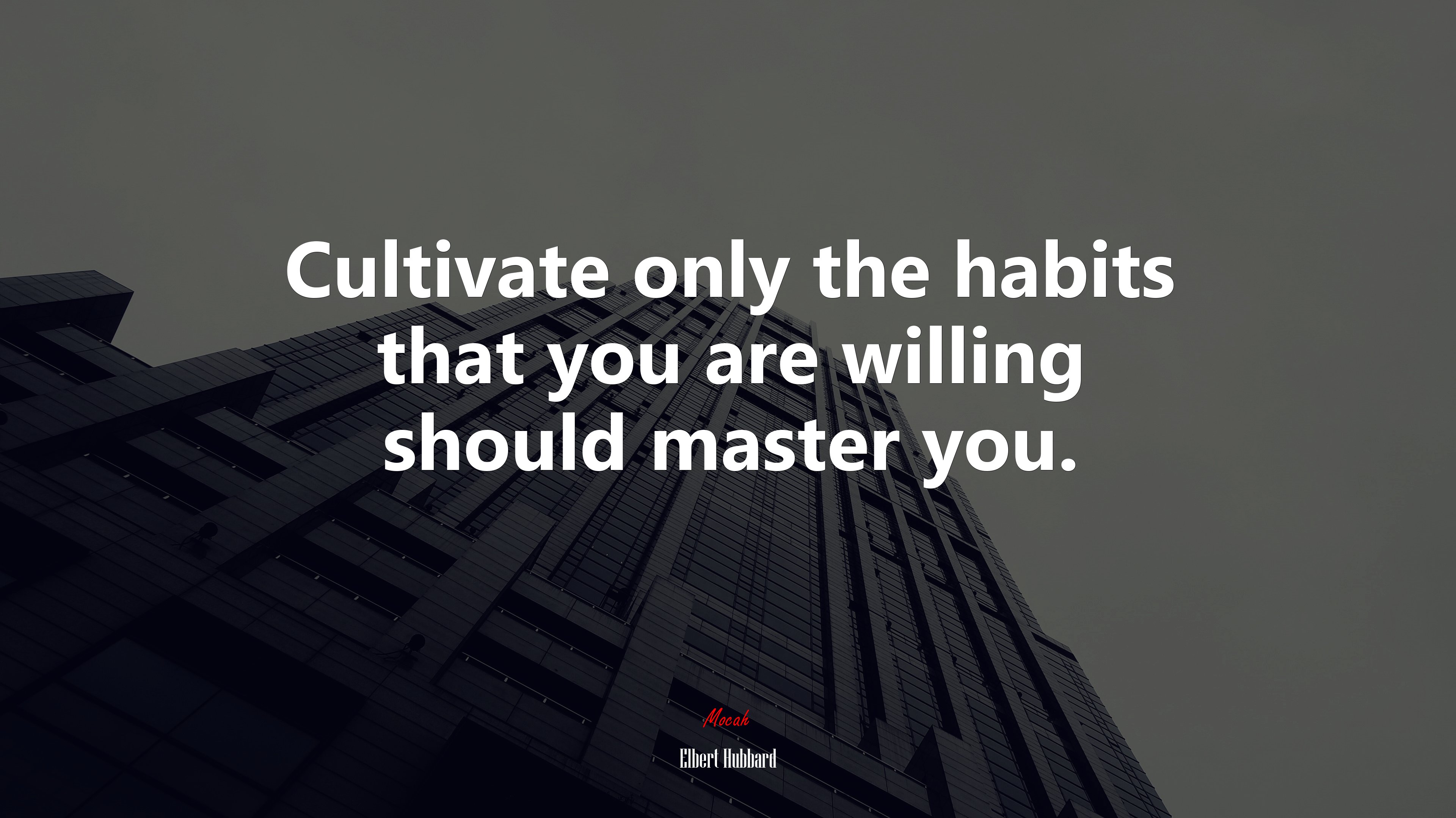 Cultivate only the habits that you are willing should master you. | Elbert Hubbard quote HD Wallpaper